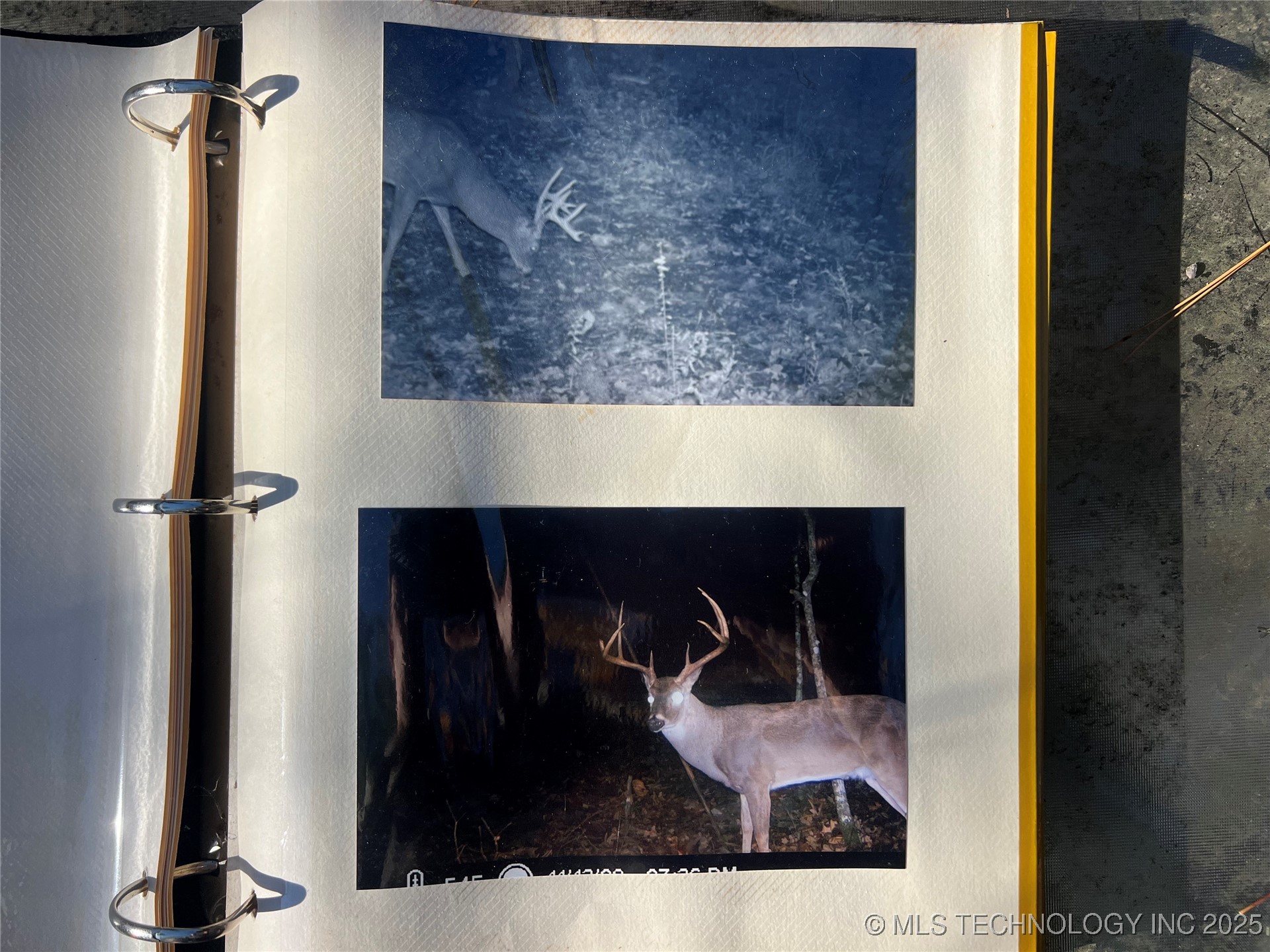 1 Durant Hill Road Property Photo 41