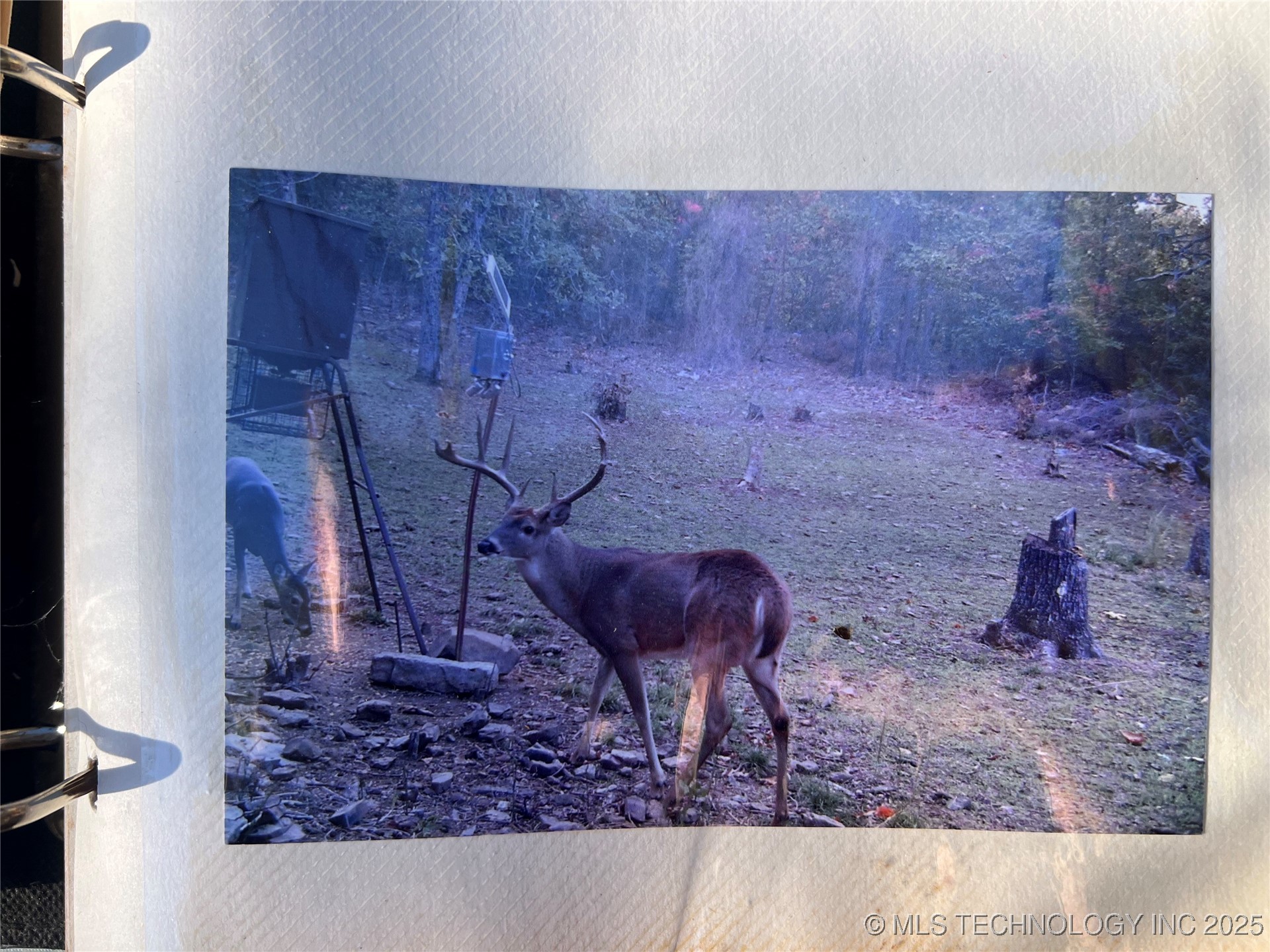 1 Durant Hill Road Property Photo 42