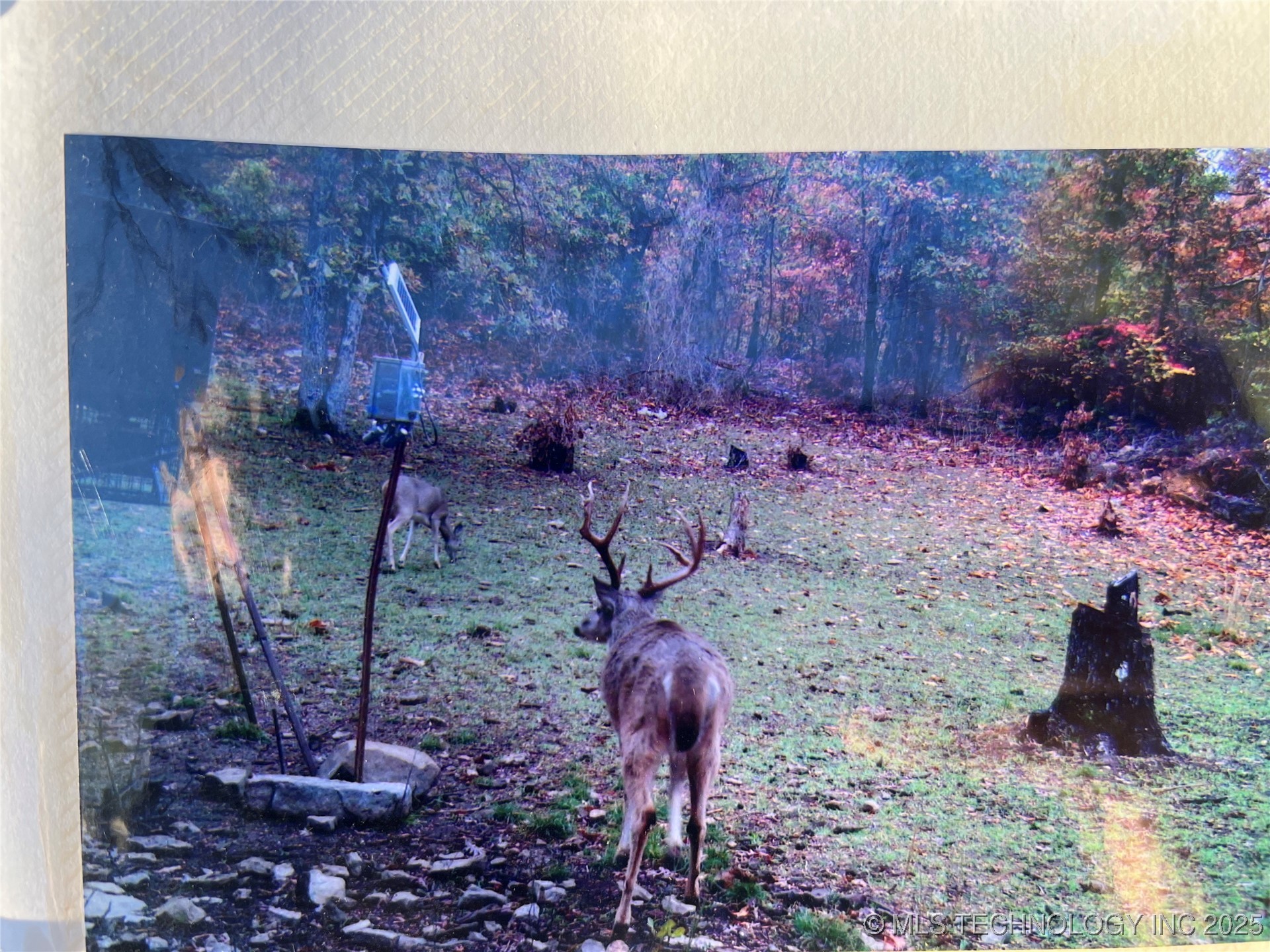 1 Durant Hill Road Property Photo 43