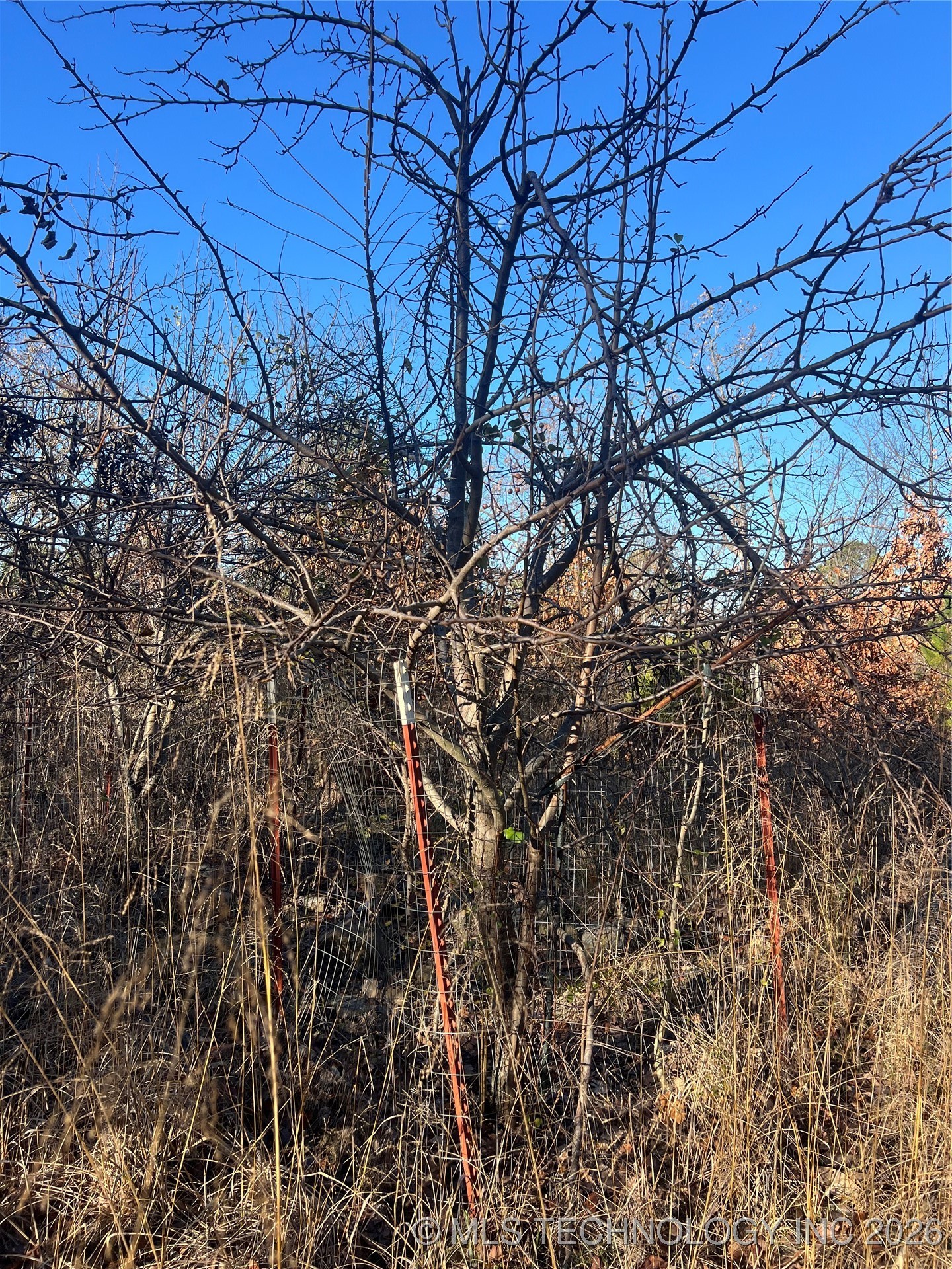 1 Durant Hill Road Property Photo 49