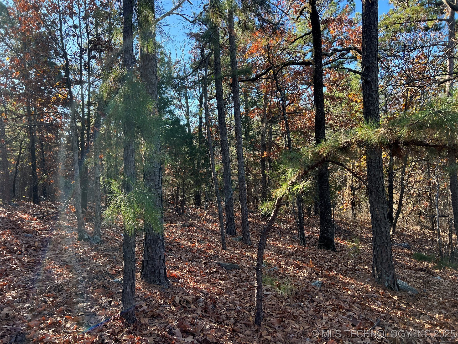 1 Durant Hill Road Property Photo 53