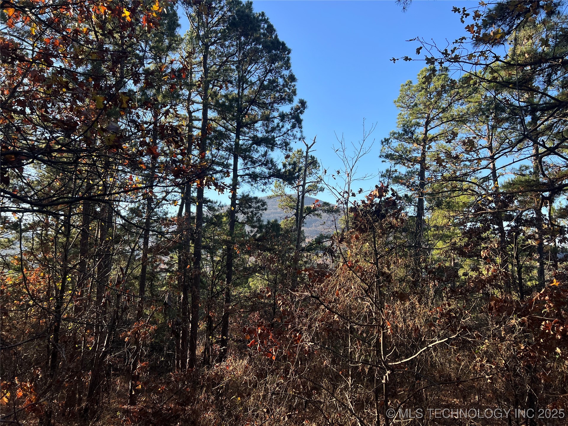 1 Durant Hill Road Property Photo 55