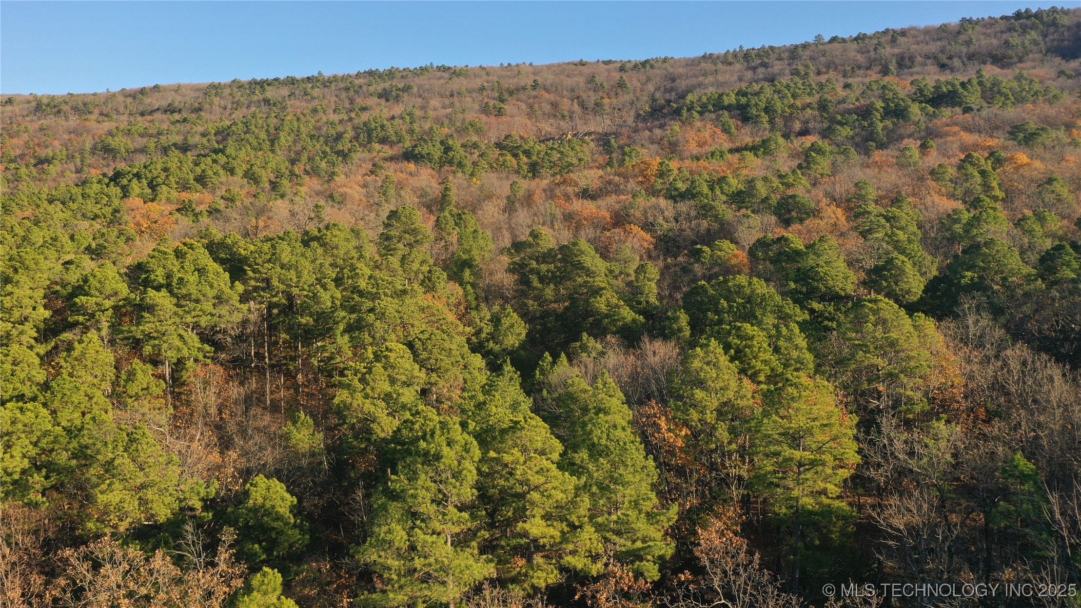 1 Durant Hill Road Property Photo 61