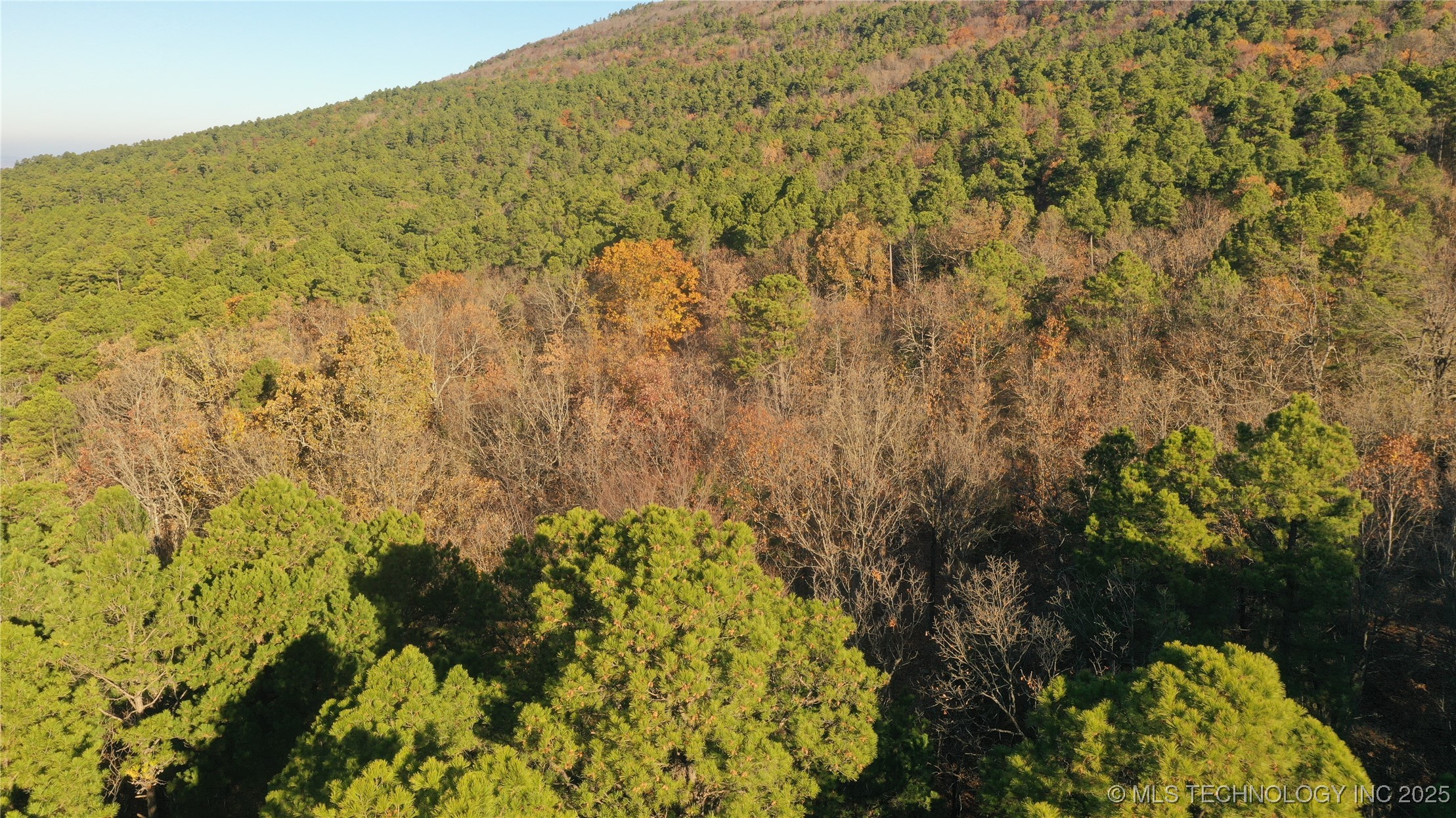 1 Durant Hill Road Property Photo 63