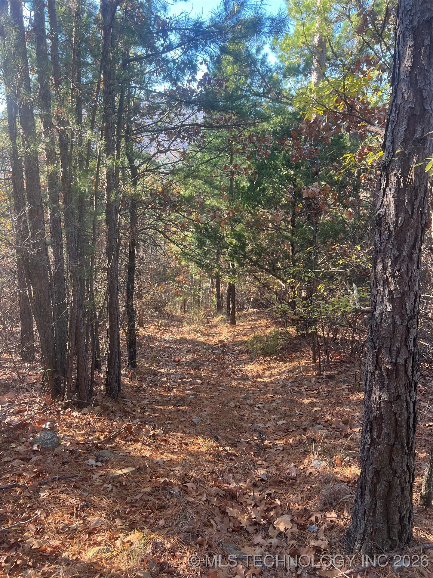 1 Durant Hill Road Property Photo 64