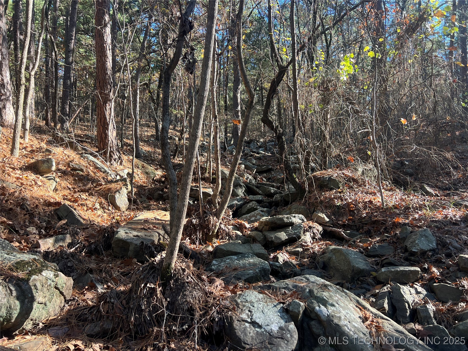 1 Durant Hill Road Property Photo 66