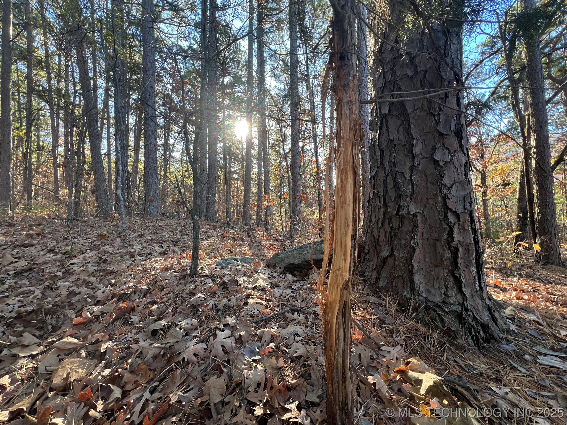 1 Durant Hill Road Property Photo 70