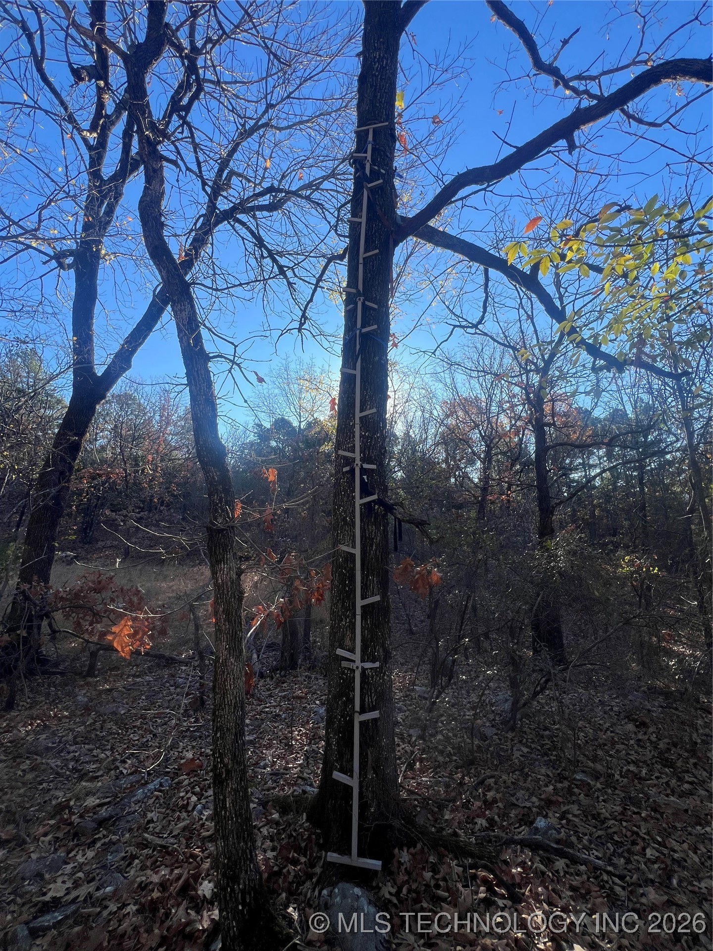 1 Durant Hill Road Property Photo 74