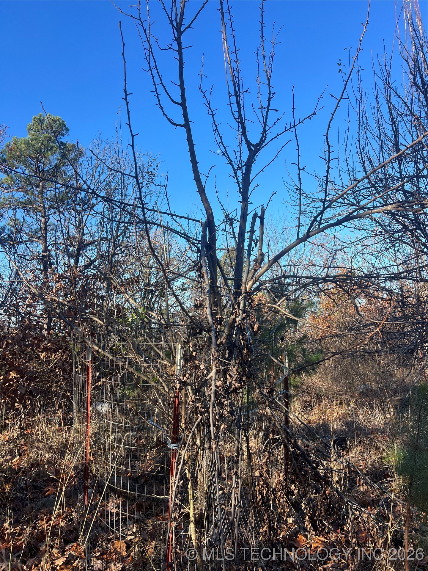 1 Durant Hill Road Property Photo 81