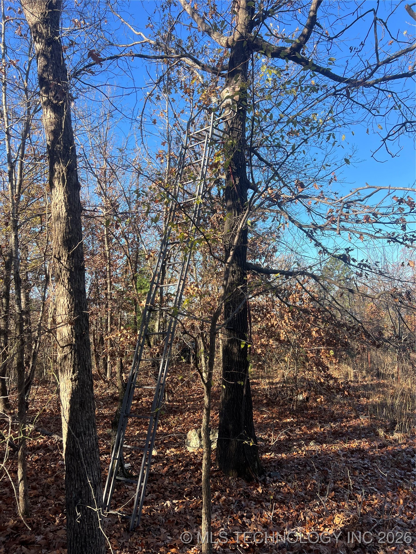 1 Durant Hill Road Property Photo 82