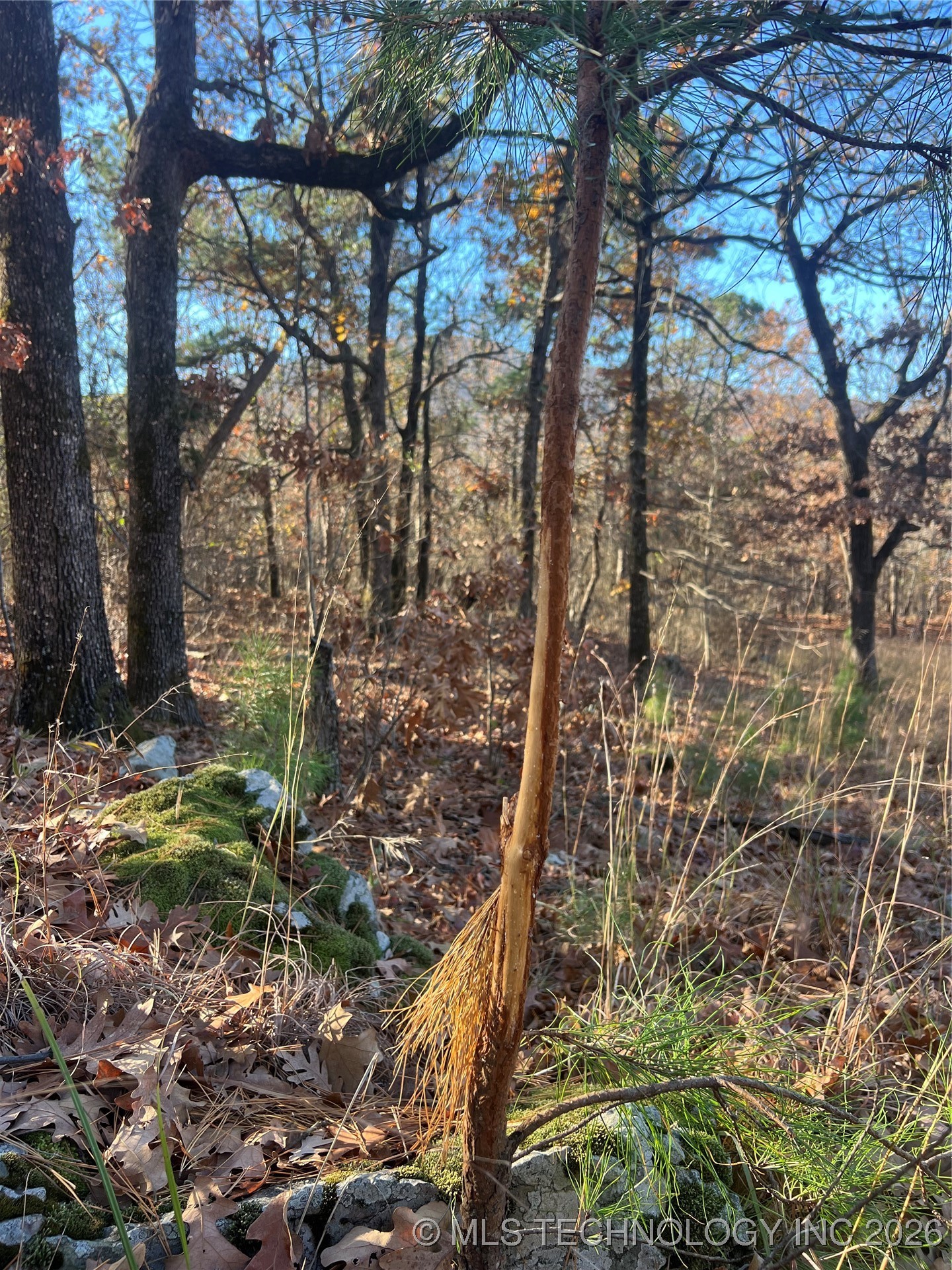 1 Durant Hill Road Property Photo 83