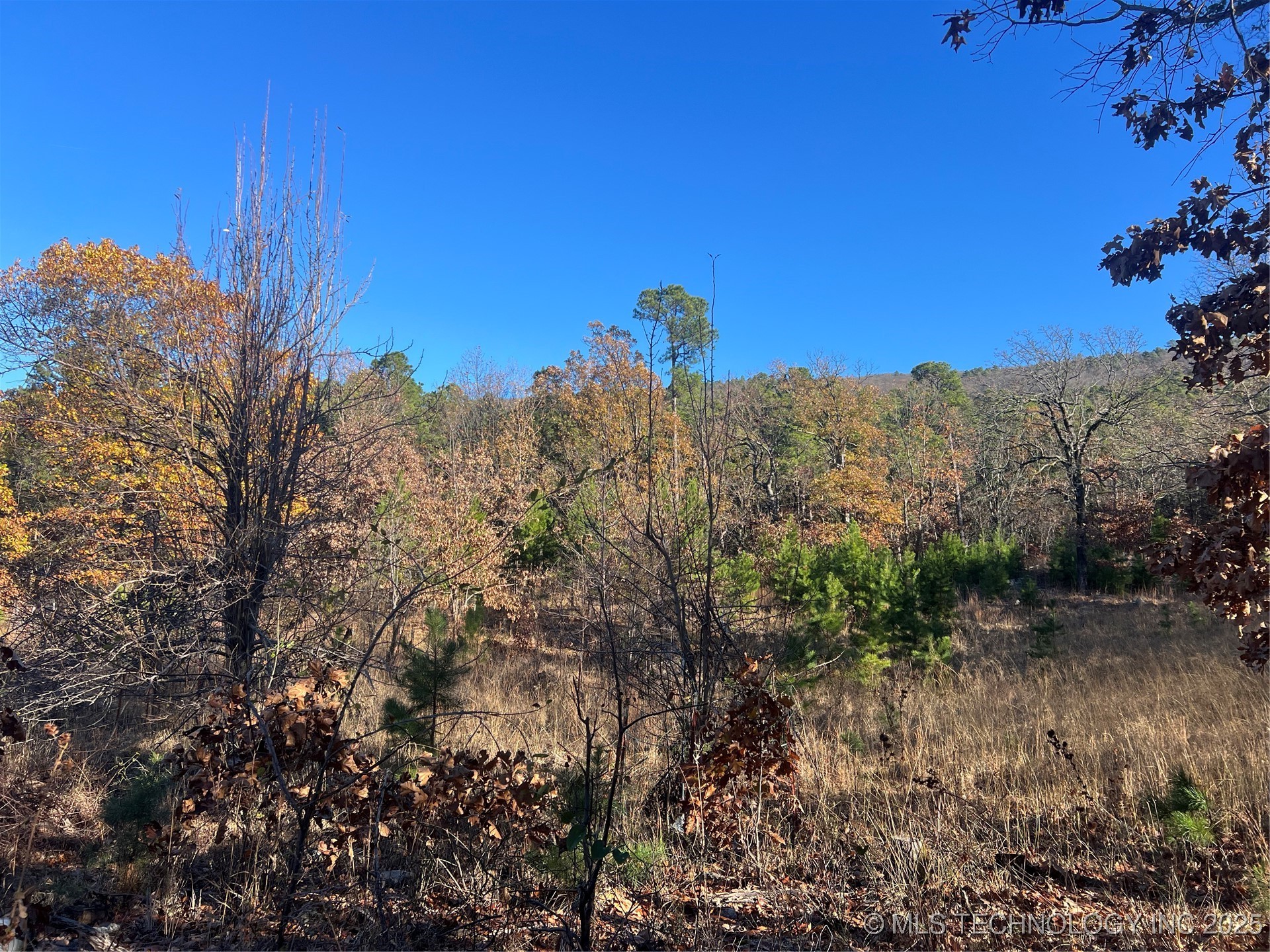 1 Durant Hill Road Property Photo 84