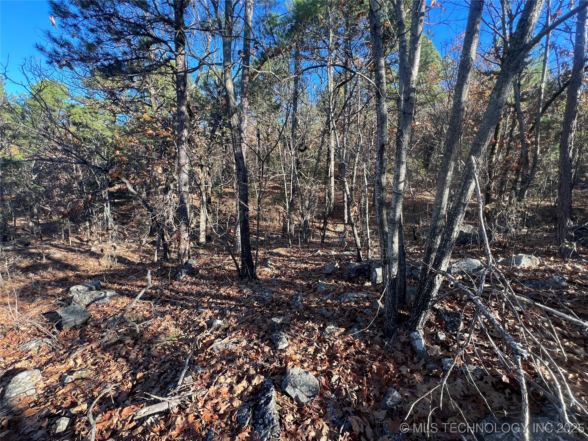 1 Durant Hill Road Property Photo 85