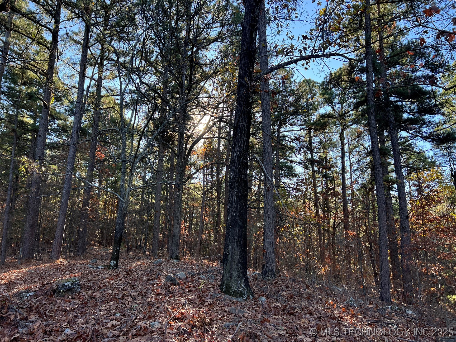 1 Durant Hill Road Property Photo 86