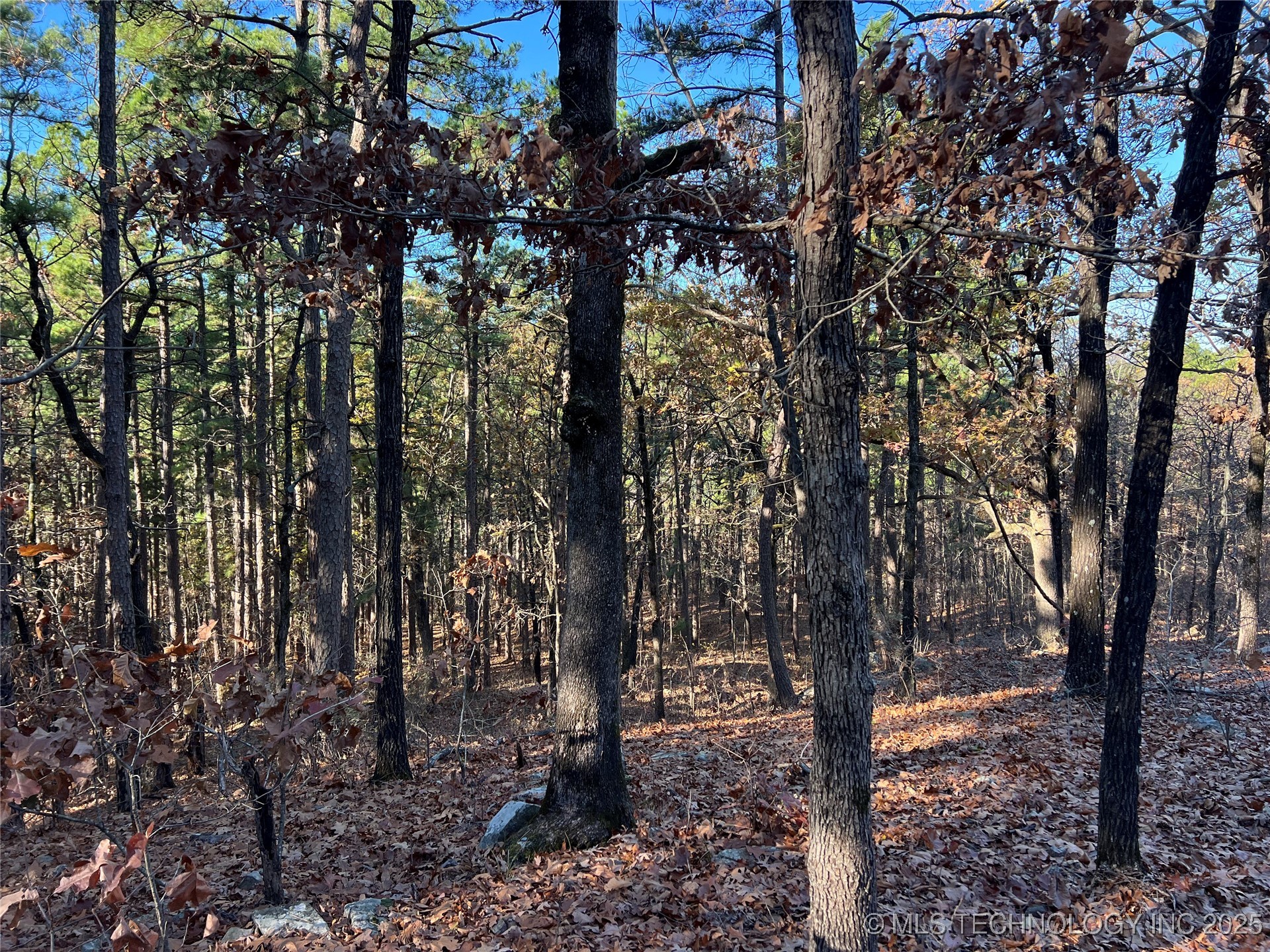 1 Durant Hill Road Property Photo 87