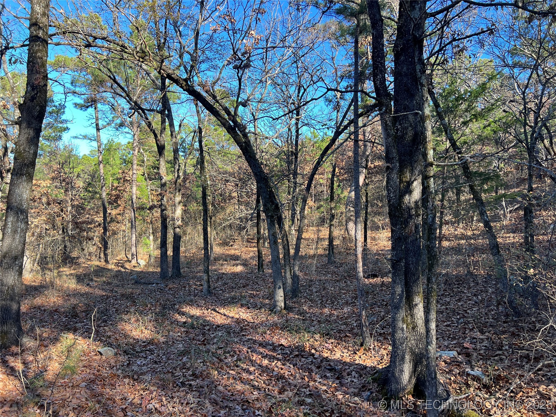 1 Durant Hill Road Property Photo 88