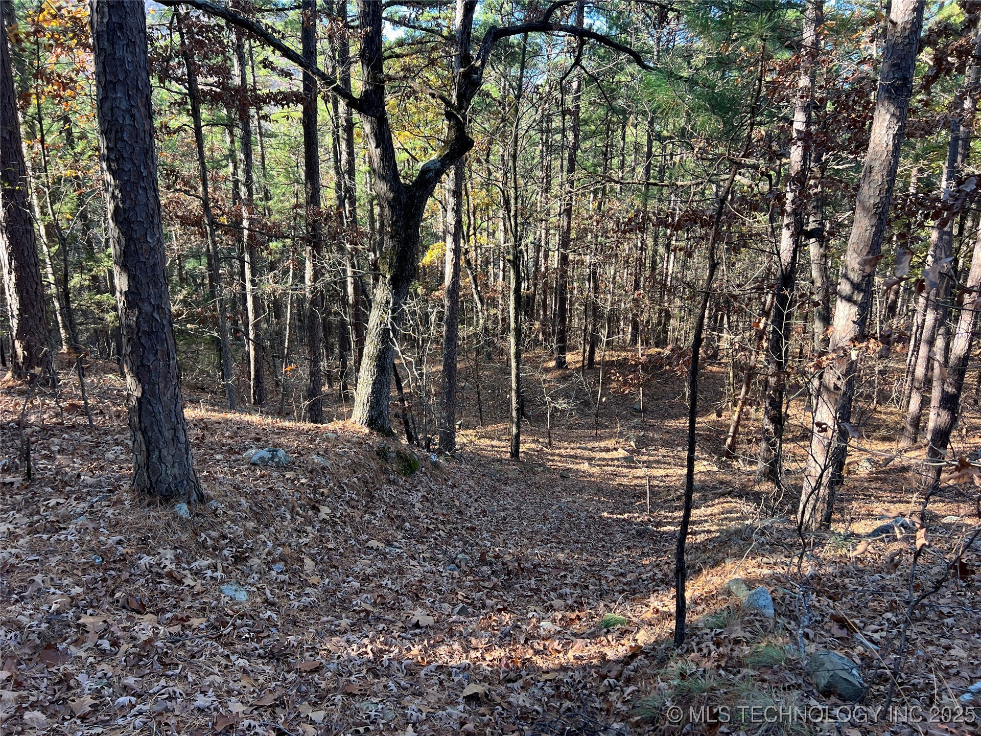 1 Durant Hill Road Property Photo 89