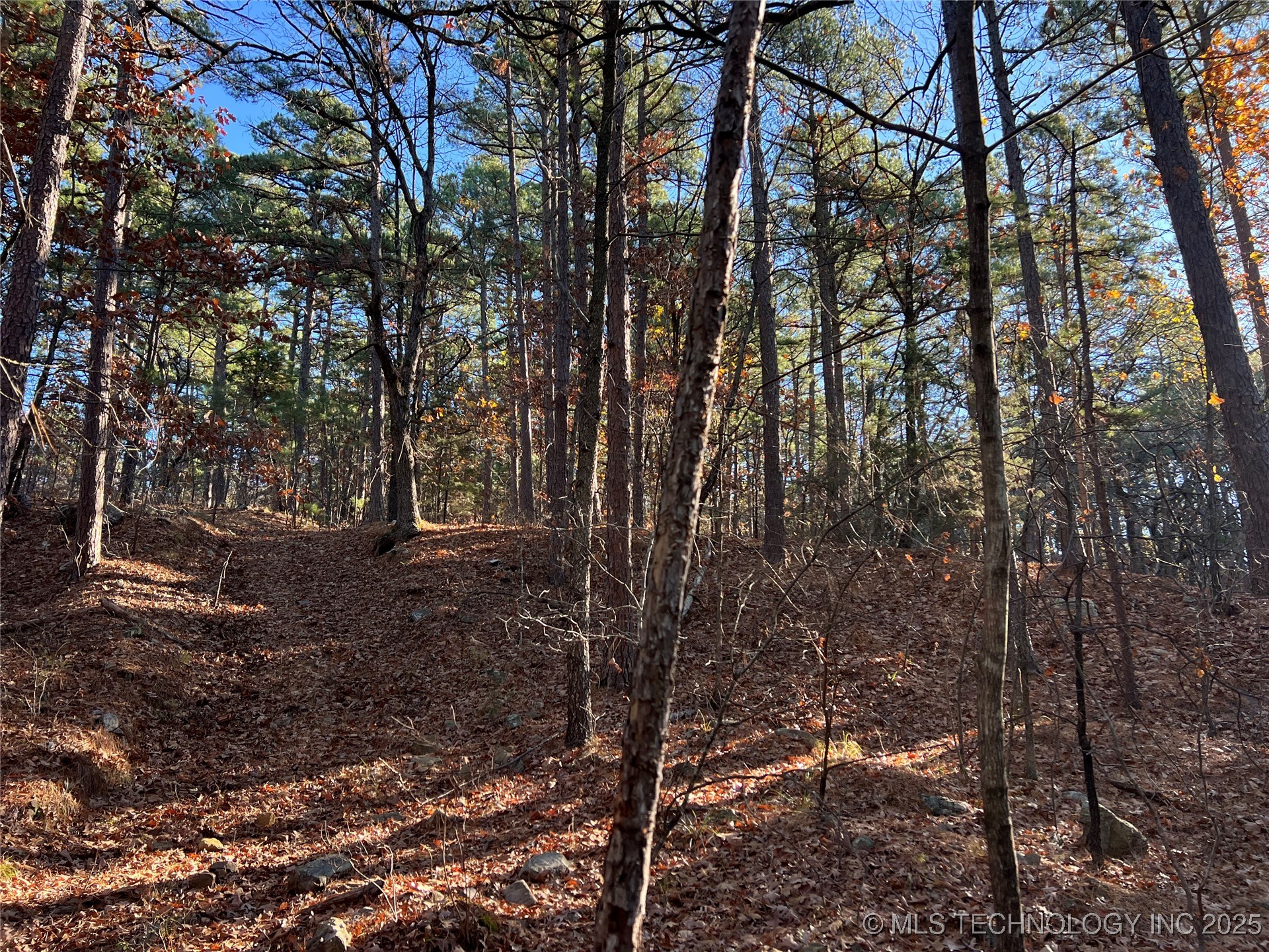 1 Durant Hill Road Property Photo 90