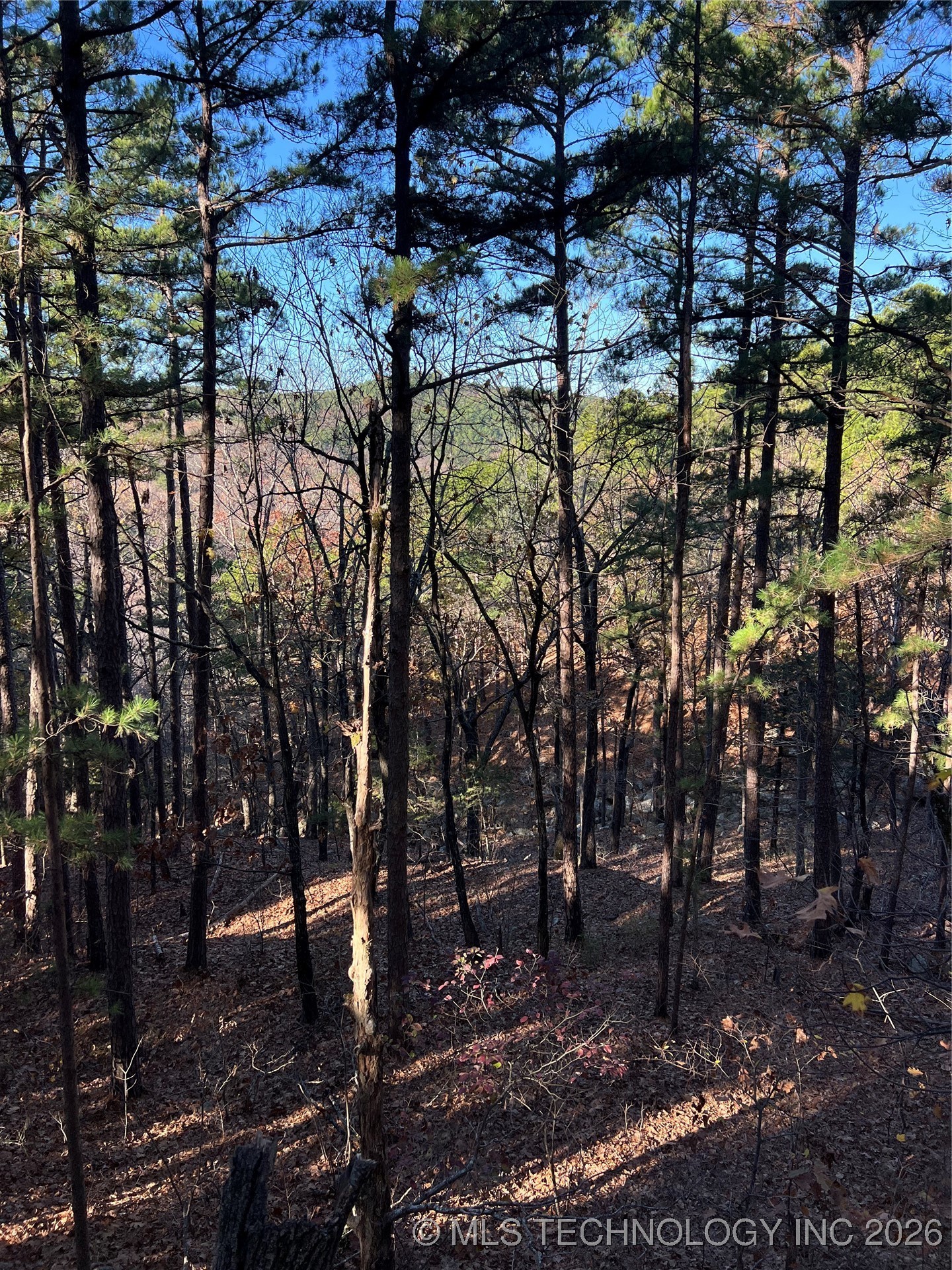 1 Durant Hill Road Property Photo 91