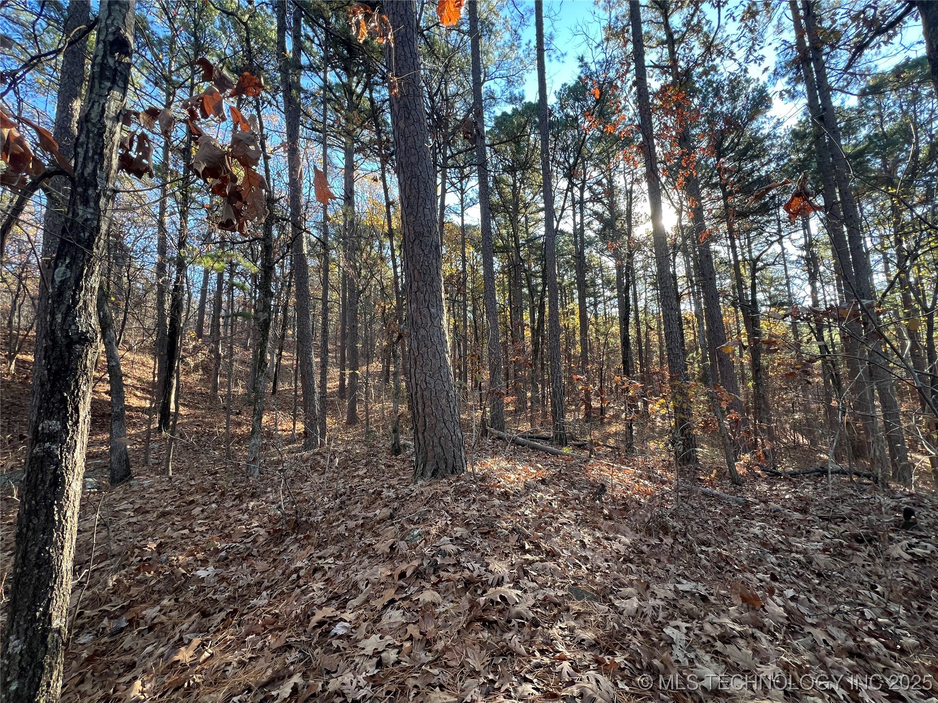 1 Durant Hill Road Property Photo 92