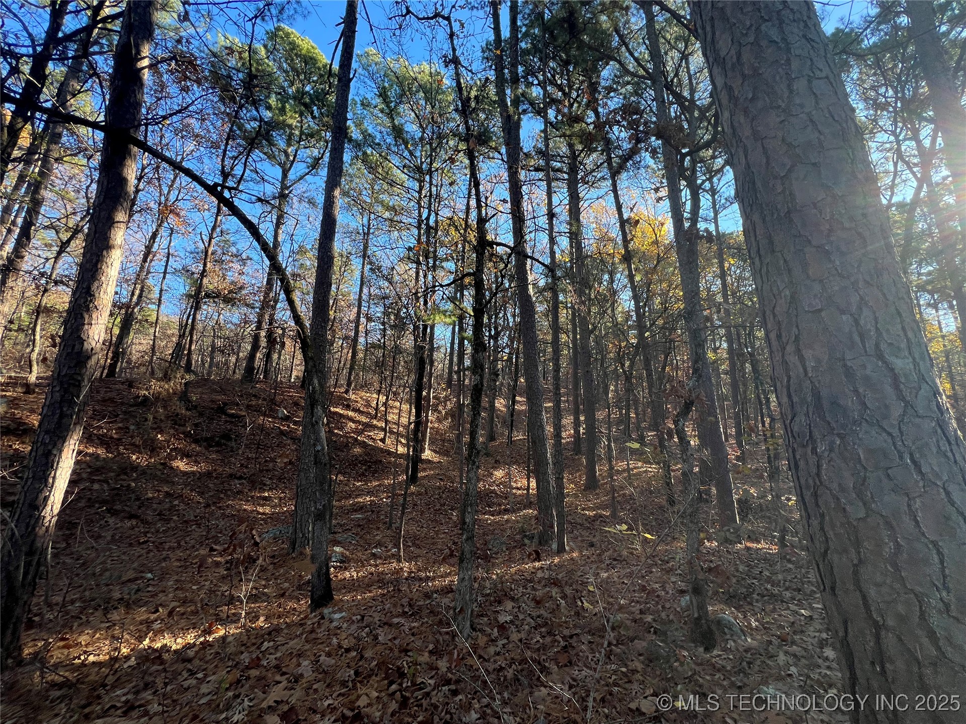 1 Durant Hill Road Property Photo 93