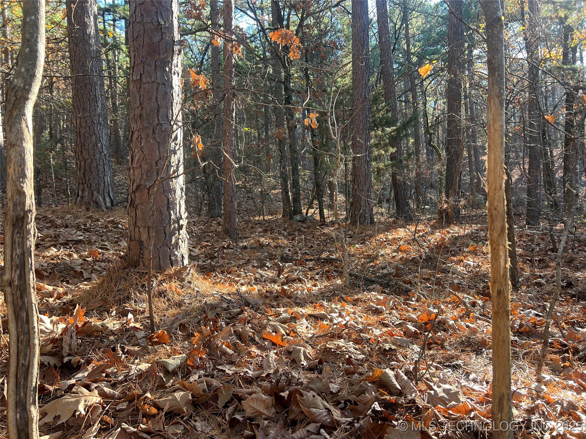 1 Durant Hill Road Property Photo 94