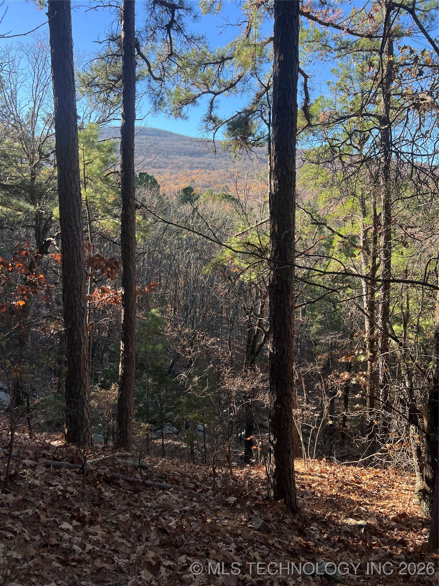 1 Durant Hill Road Property Photo 95