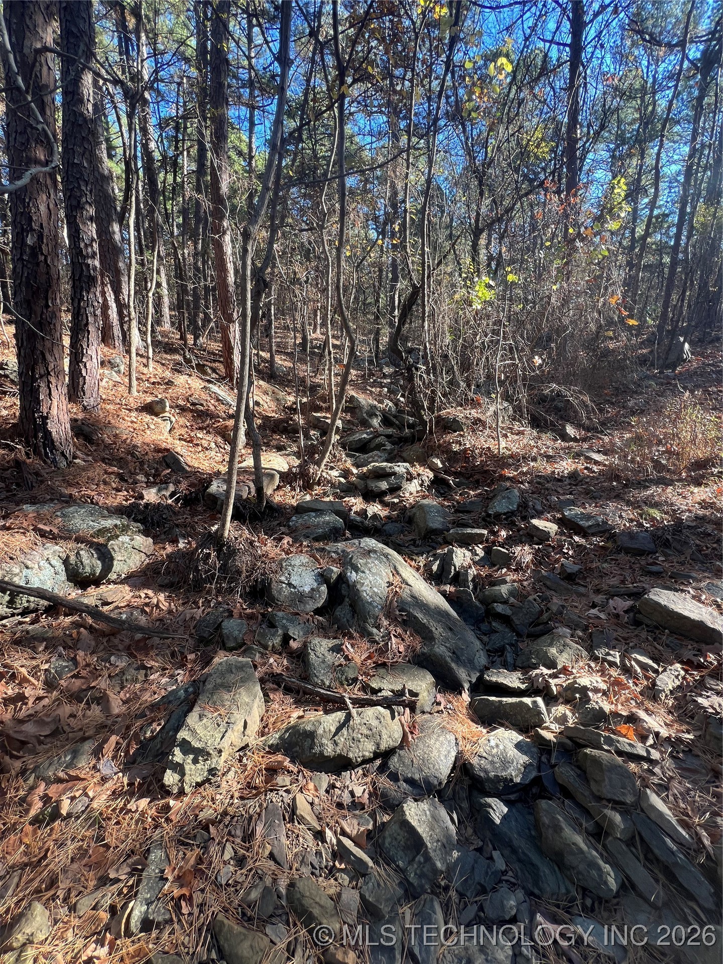 1 Durant Hill Road Property Photo 96