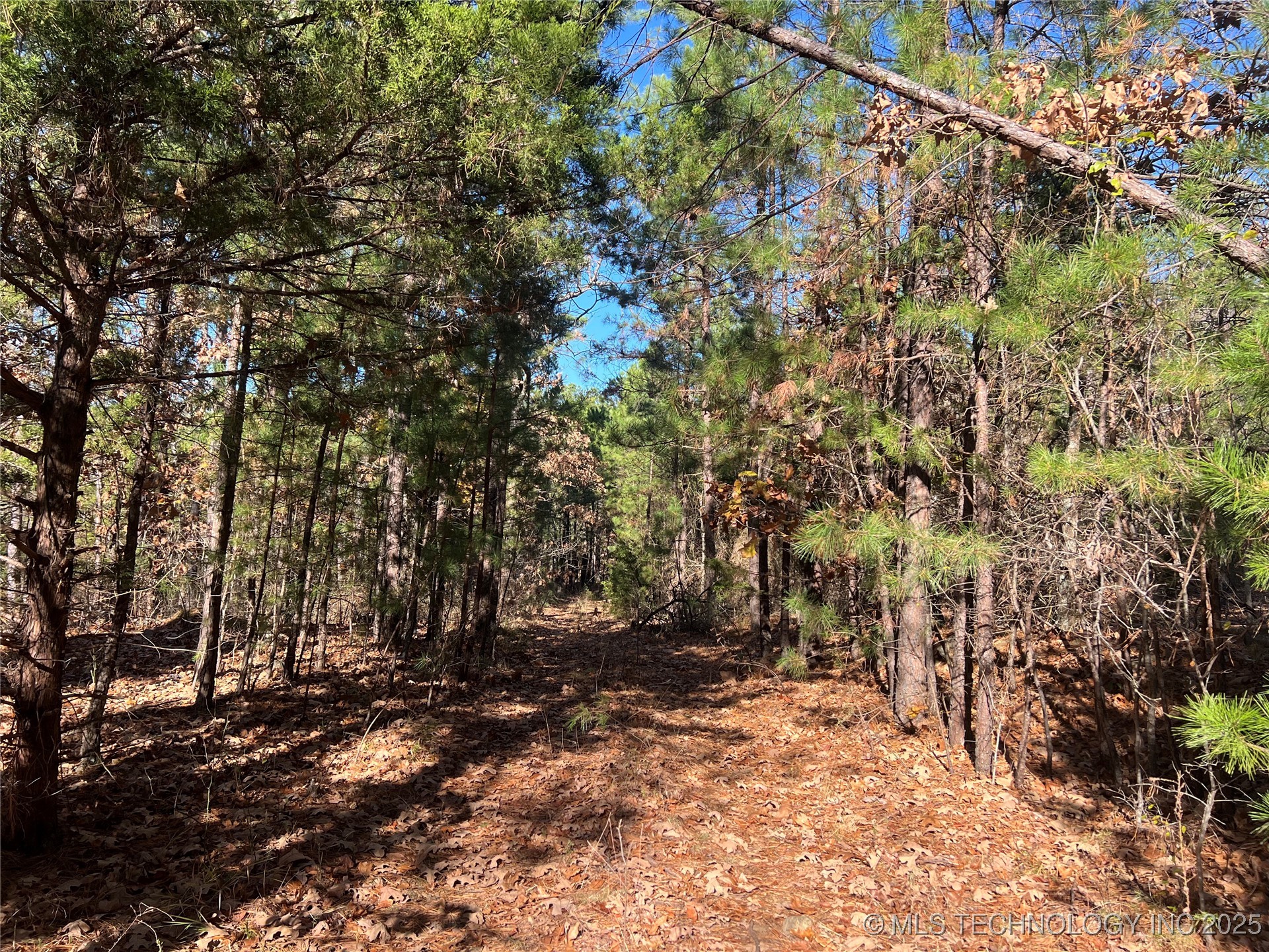 1 Durant Hill Road Property Photo 97