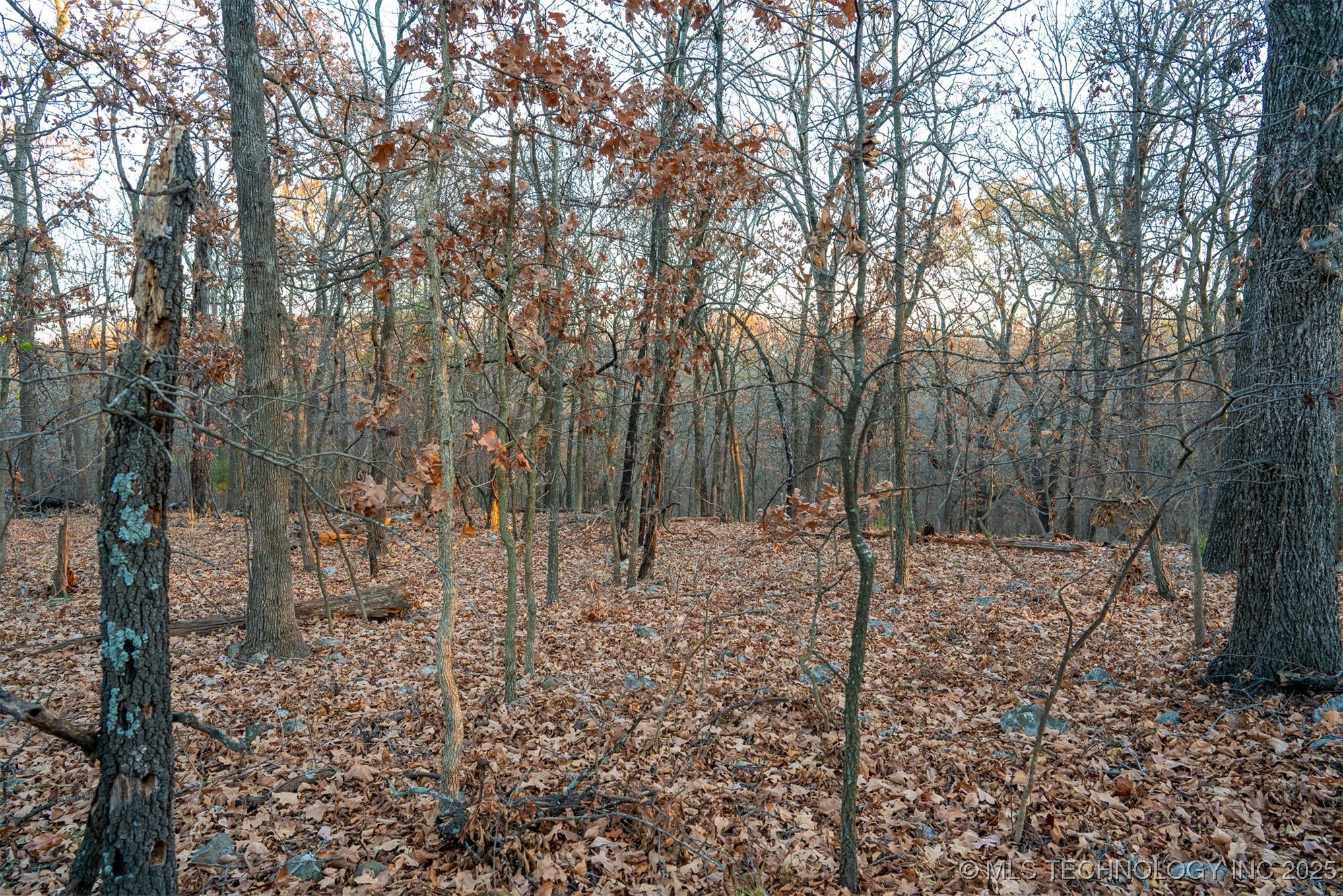 04 Skyline Drive Property Photo 44