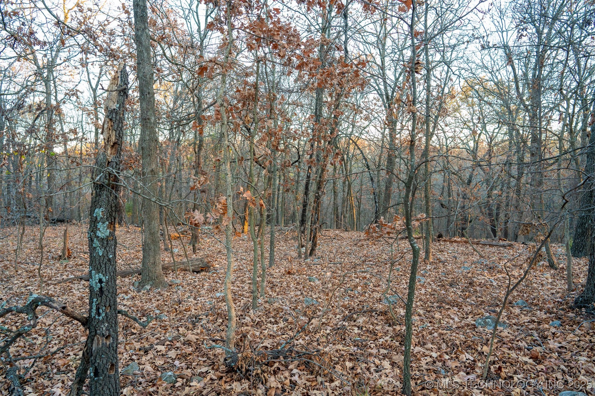 04 Skyline Drive Property Photo 45