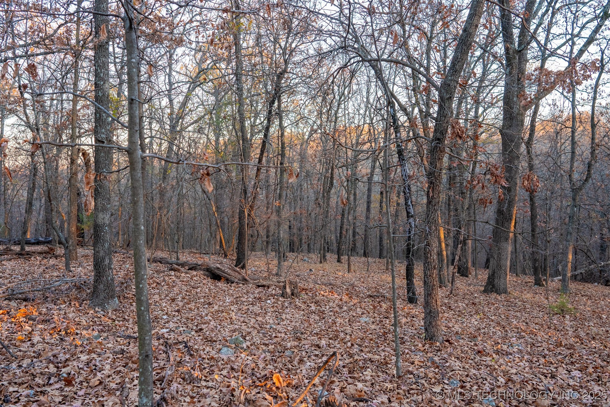 04 Skyline Drive Property Photo 46