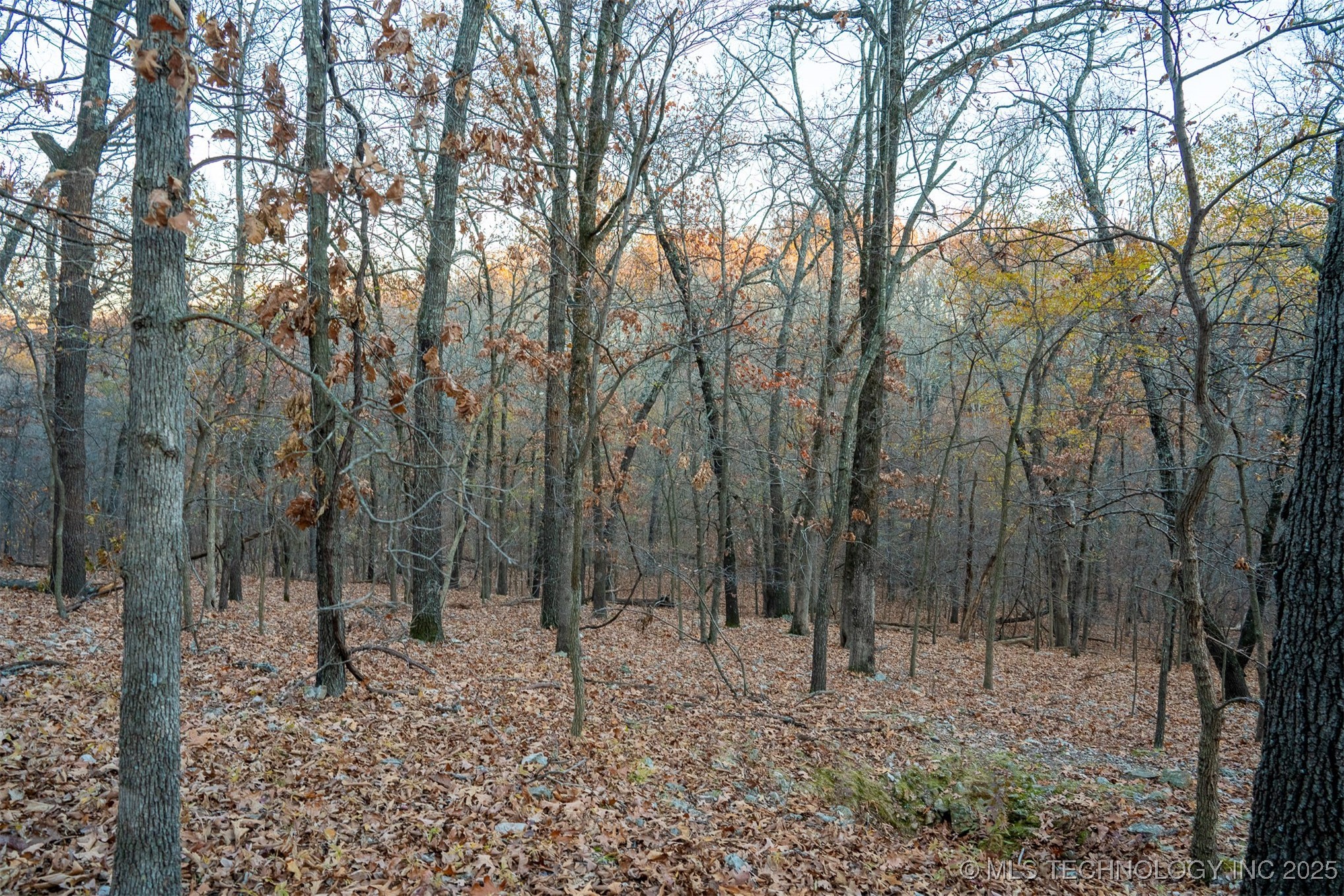 04 Skyline Drive Property Photo 47