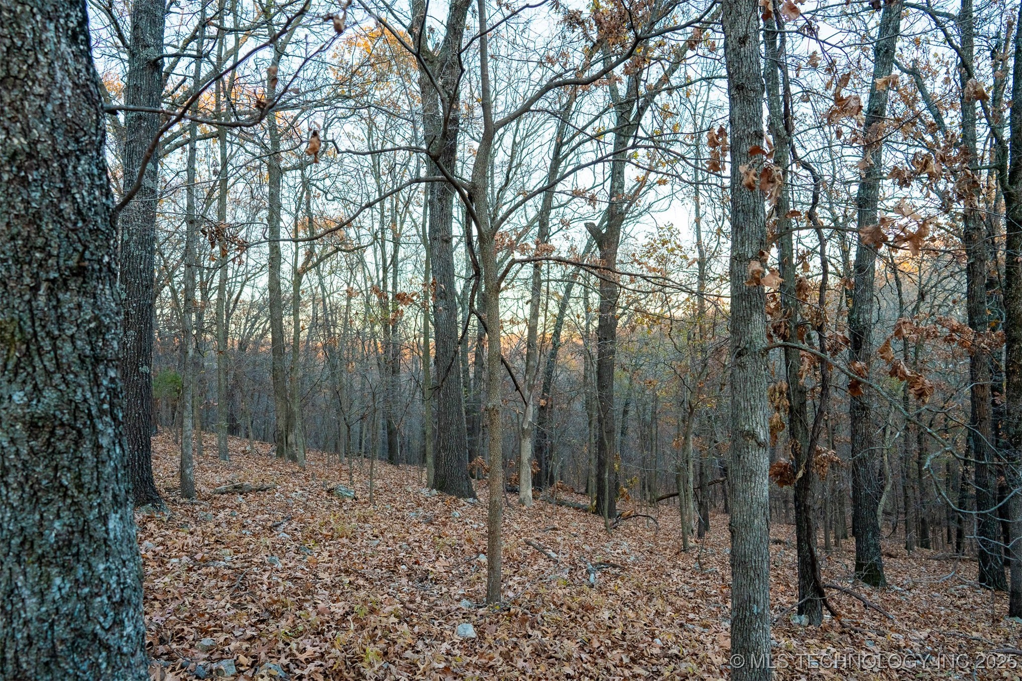 04 Skyline Drive Property Photo 48