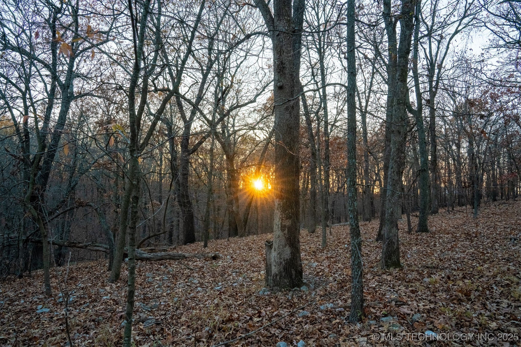 04 Skyline Drive Property Photo 49