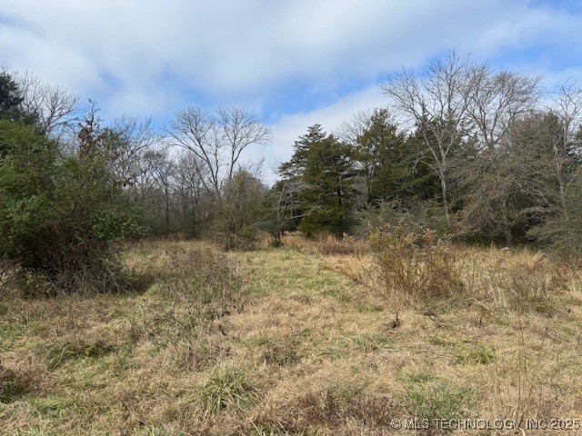 123rd Street Property Photo 2