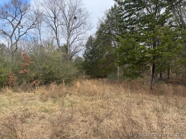 123rd Street Property Photo 4