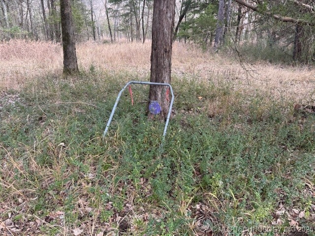 123rd Street Property Photo 6