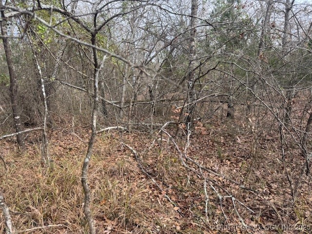 123rd Street Property Photo 7