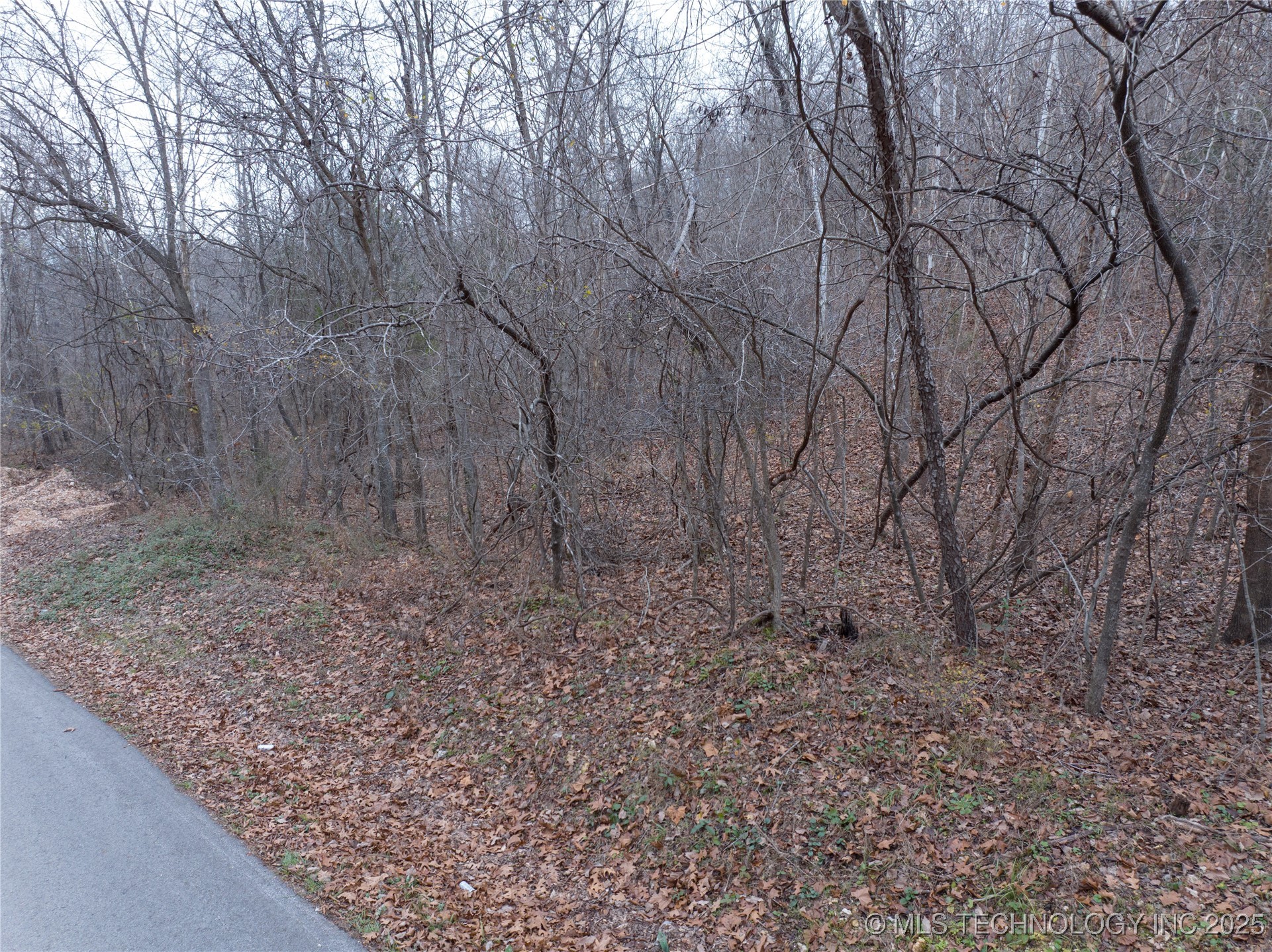 N 439 Road Property Photo 5