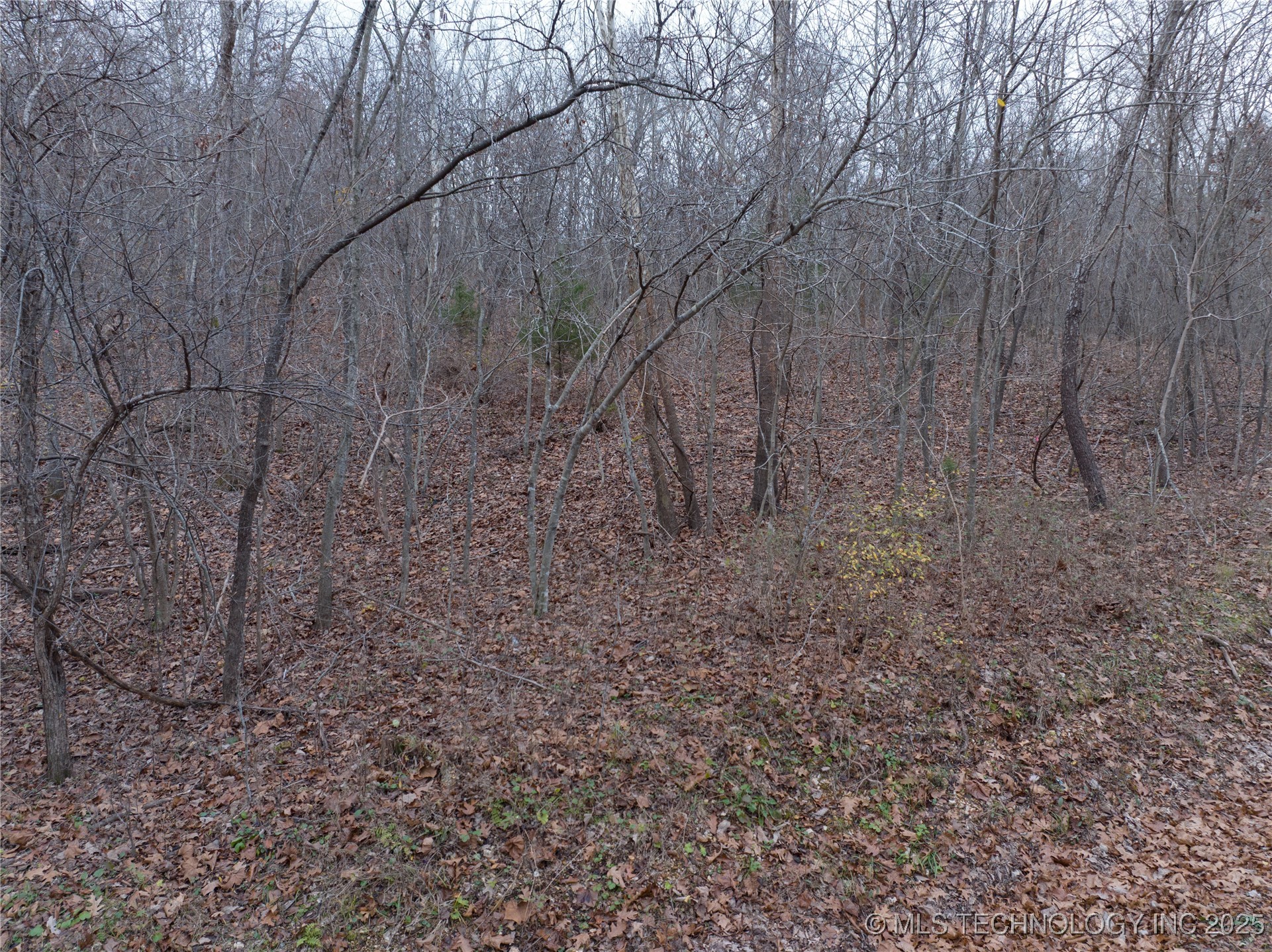 N 439 Road Property Photo 6