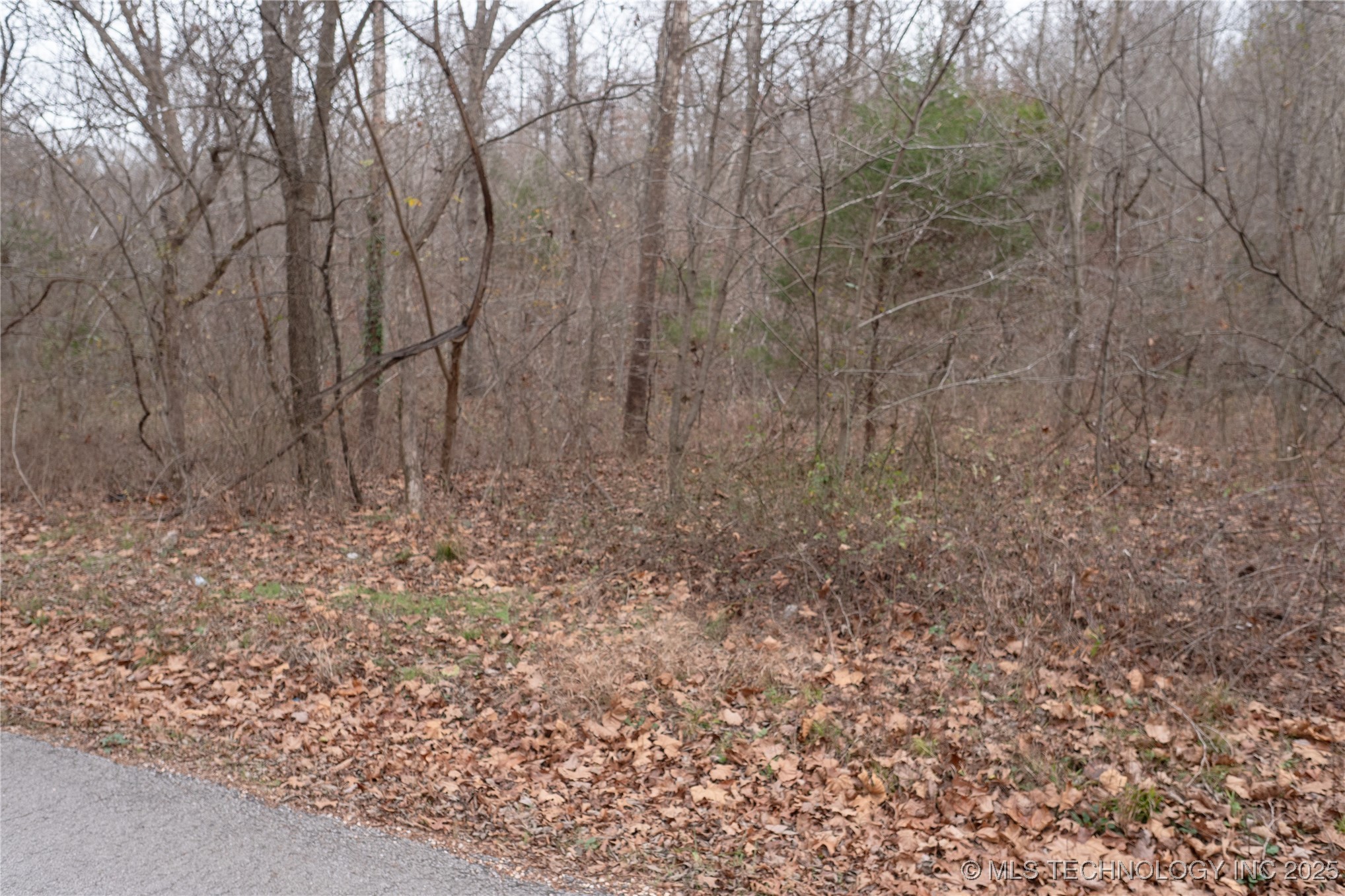 N 439 Road Property Photo 35