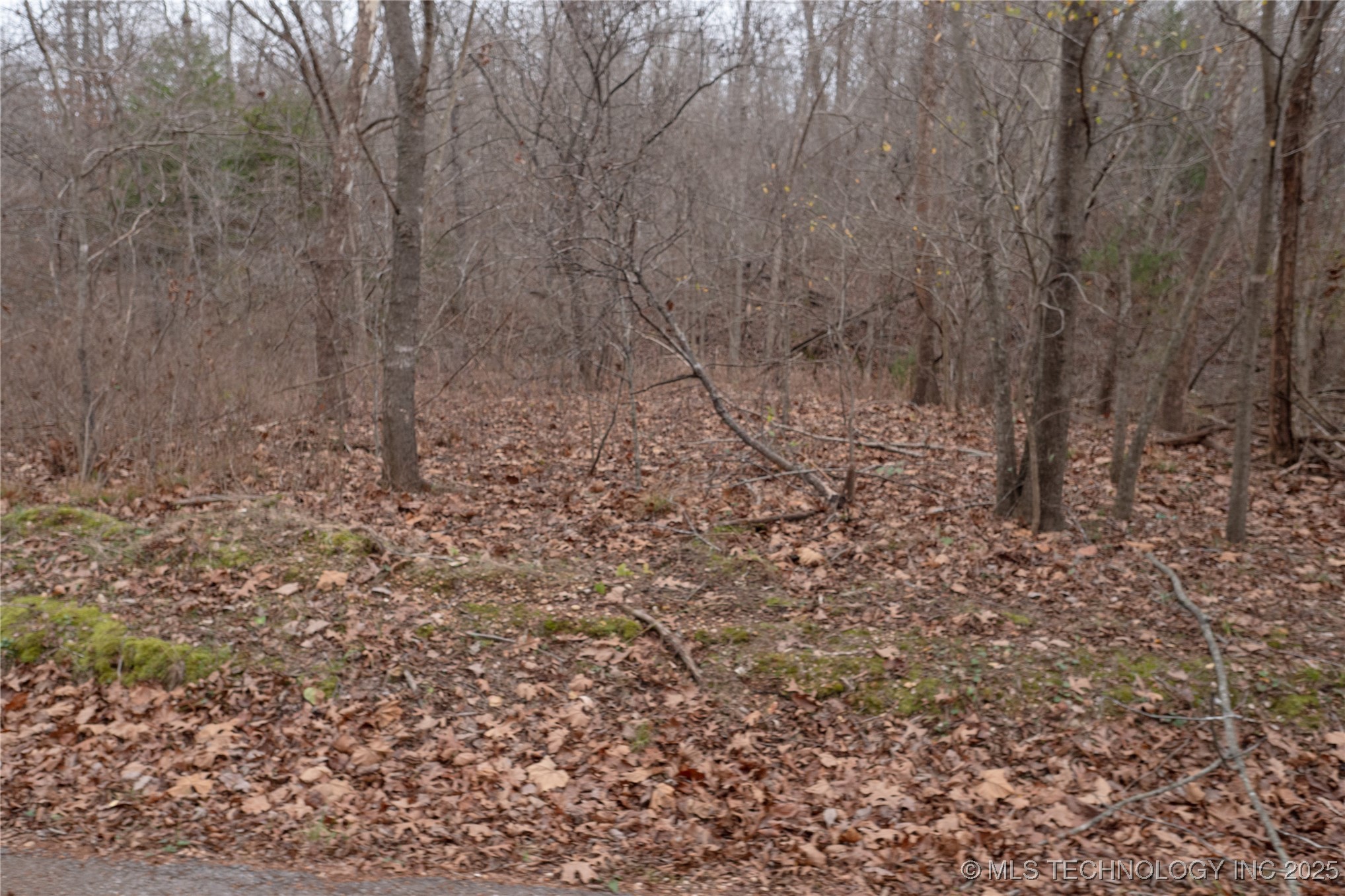 N 439 Road Property Photo 36