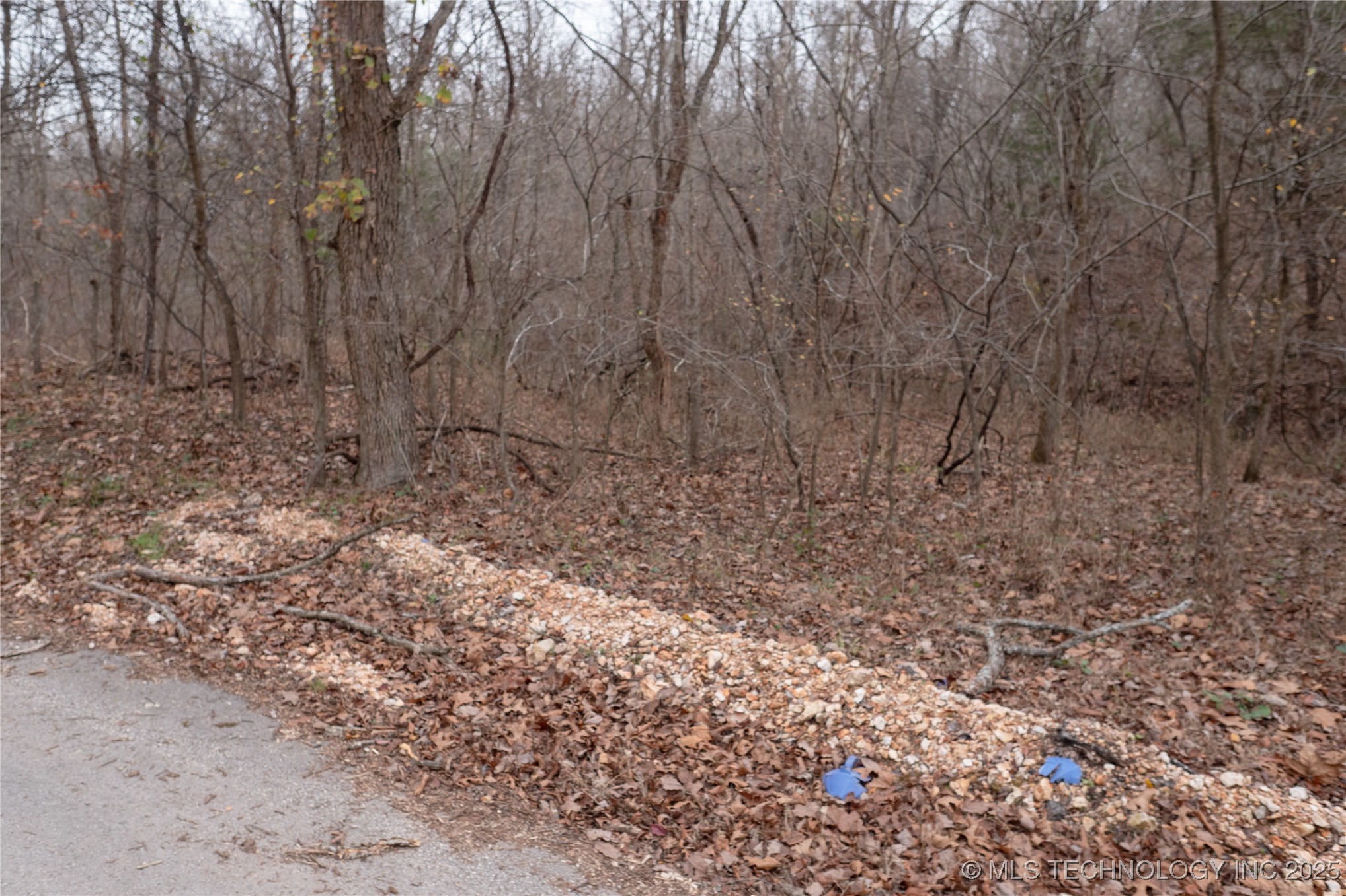 N 439 Road Property Photo 37