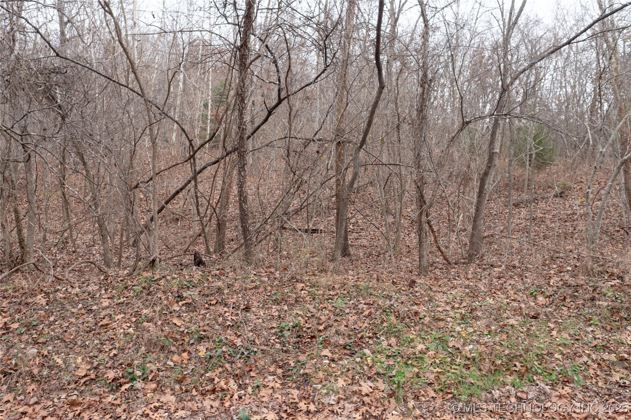 N 439 Road Property Photo 38