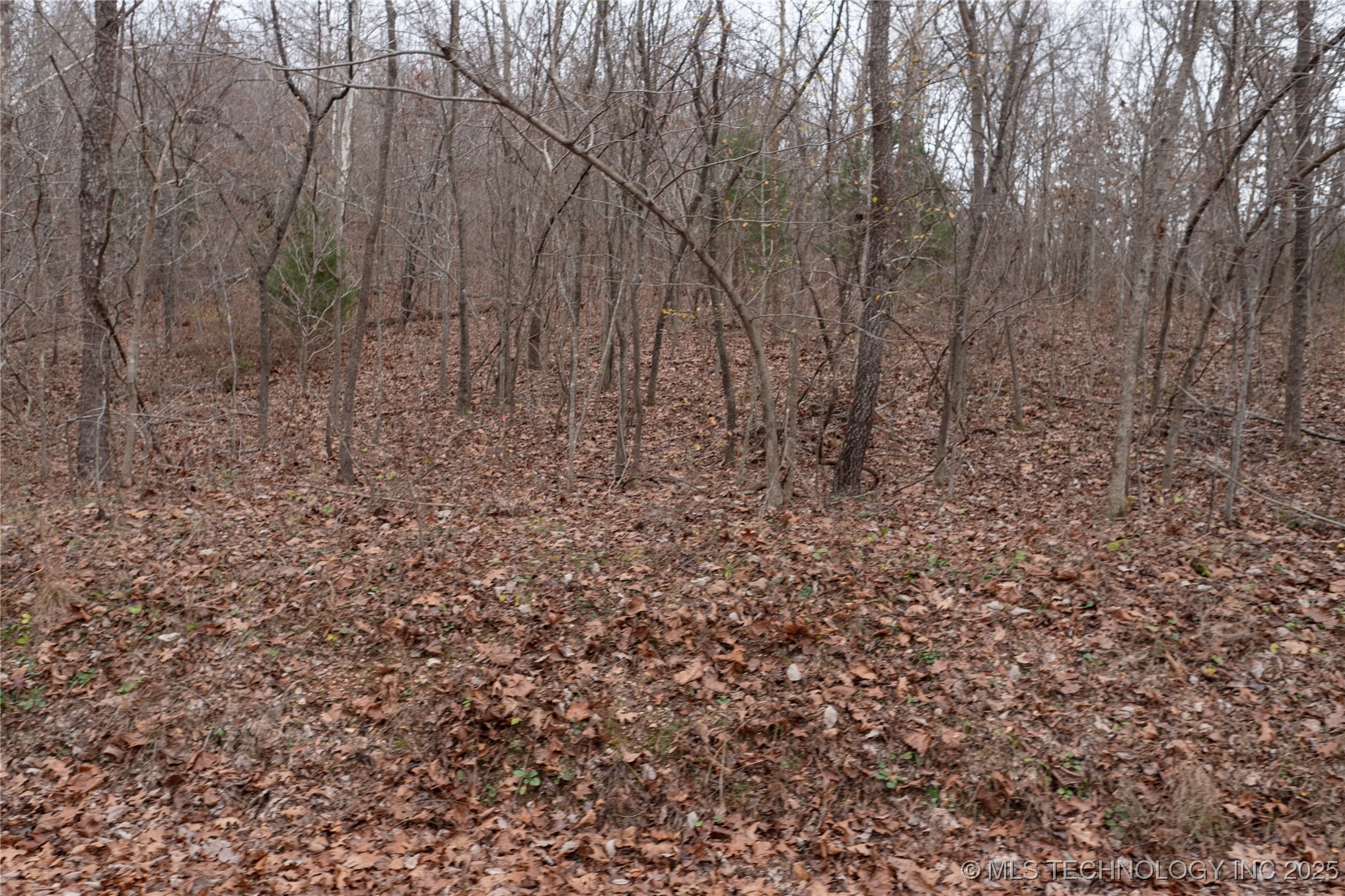 N 439 Road Property Photo 39