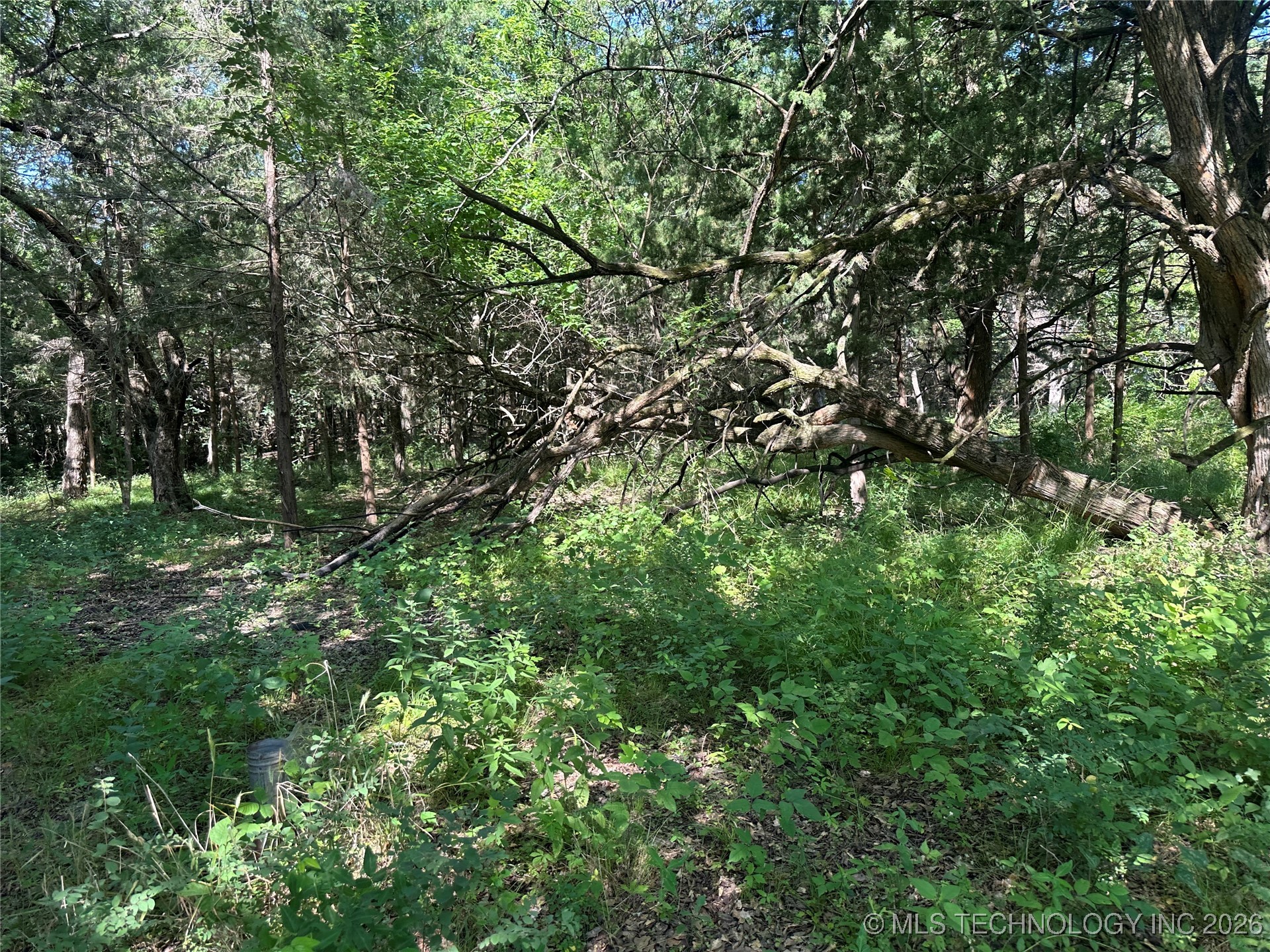 004 N Wade Property Photo 3