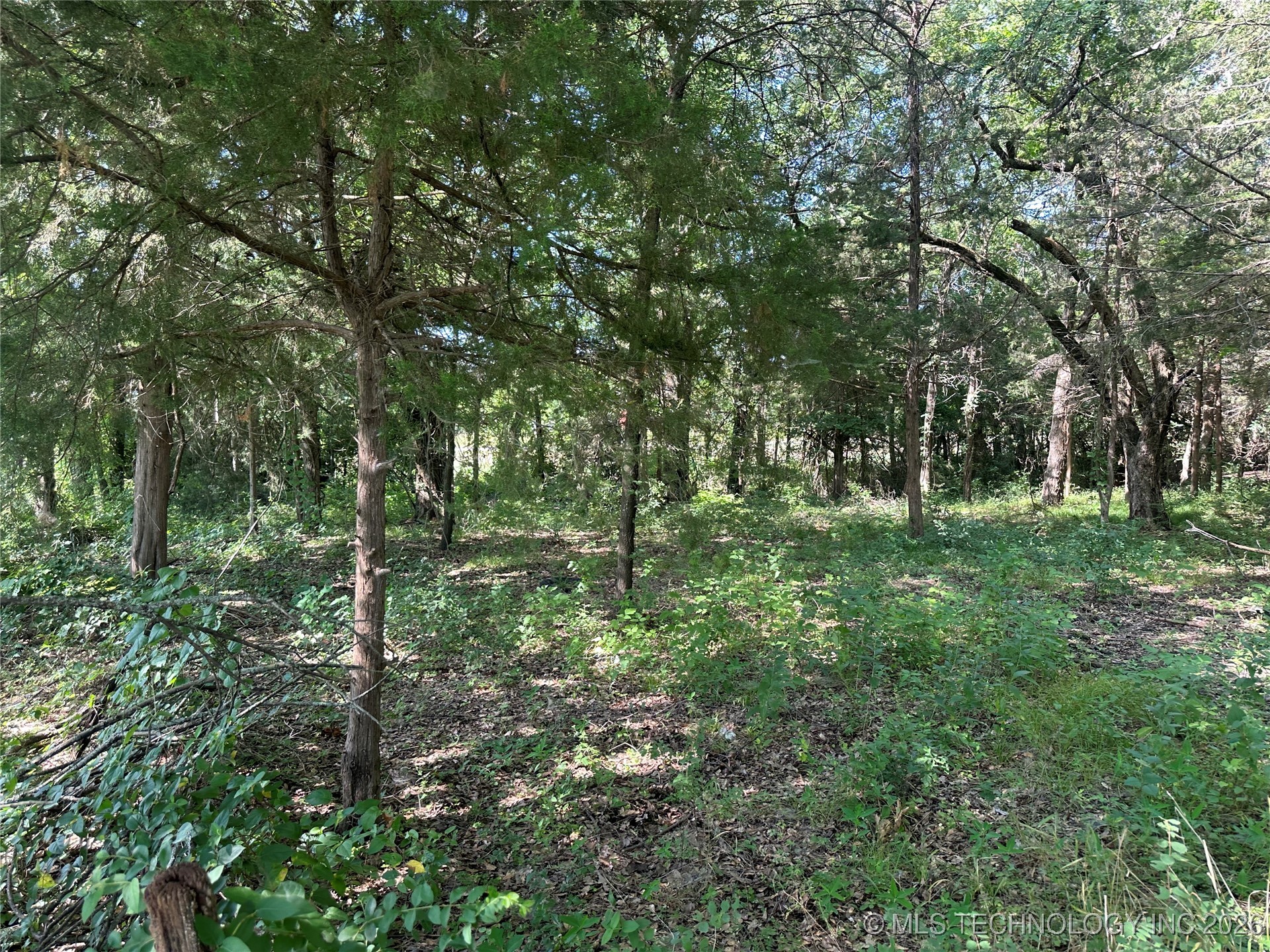 004 N Wade Property Photo 4