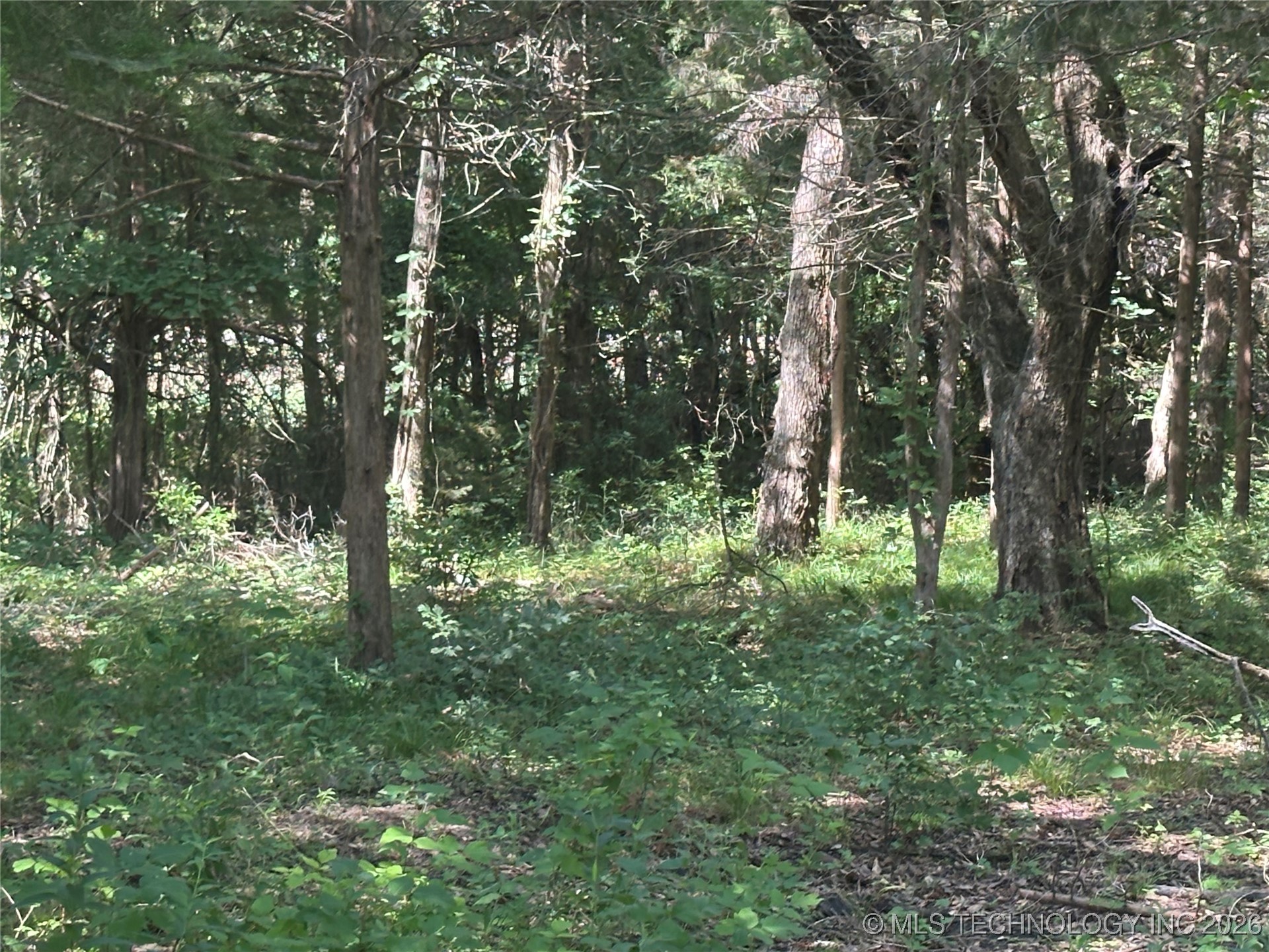 004 N Wade Property Photo 5