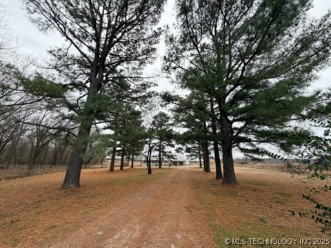 7480 Loblolly Road Property Photo 4